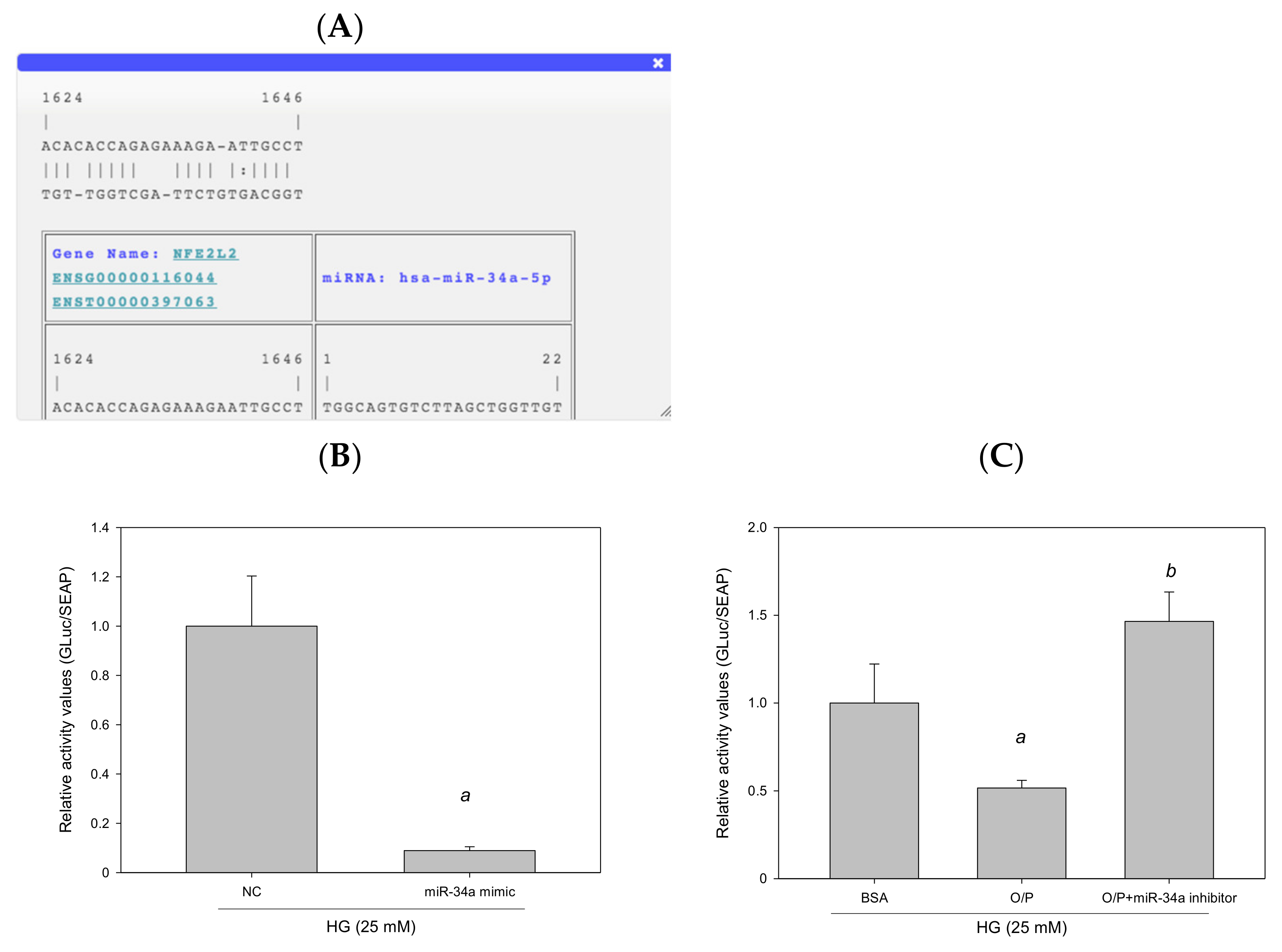 Antioxidants 11 00092 g011
