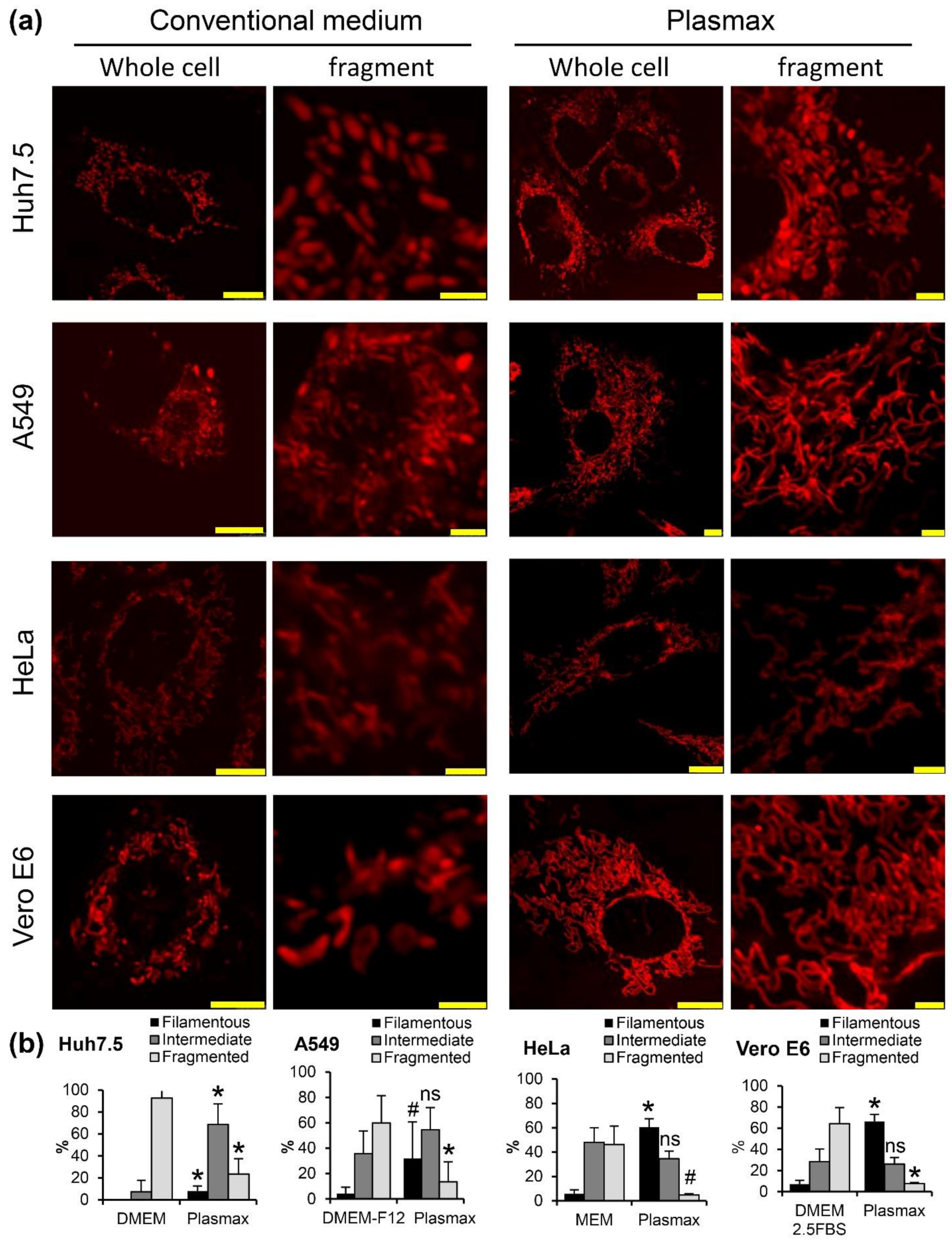 Antioxidants 11 00097 g005