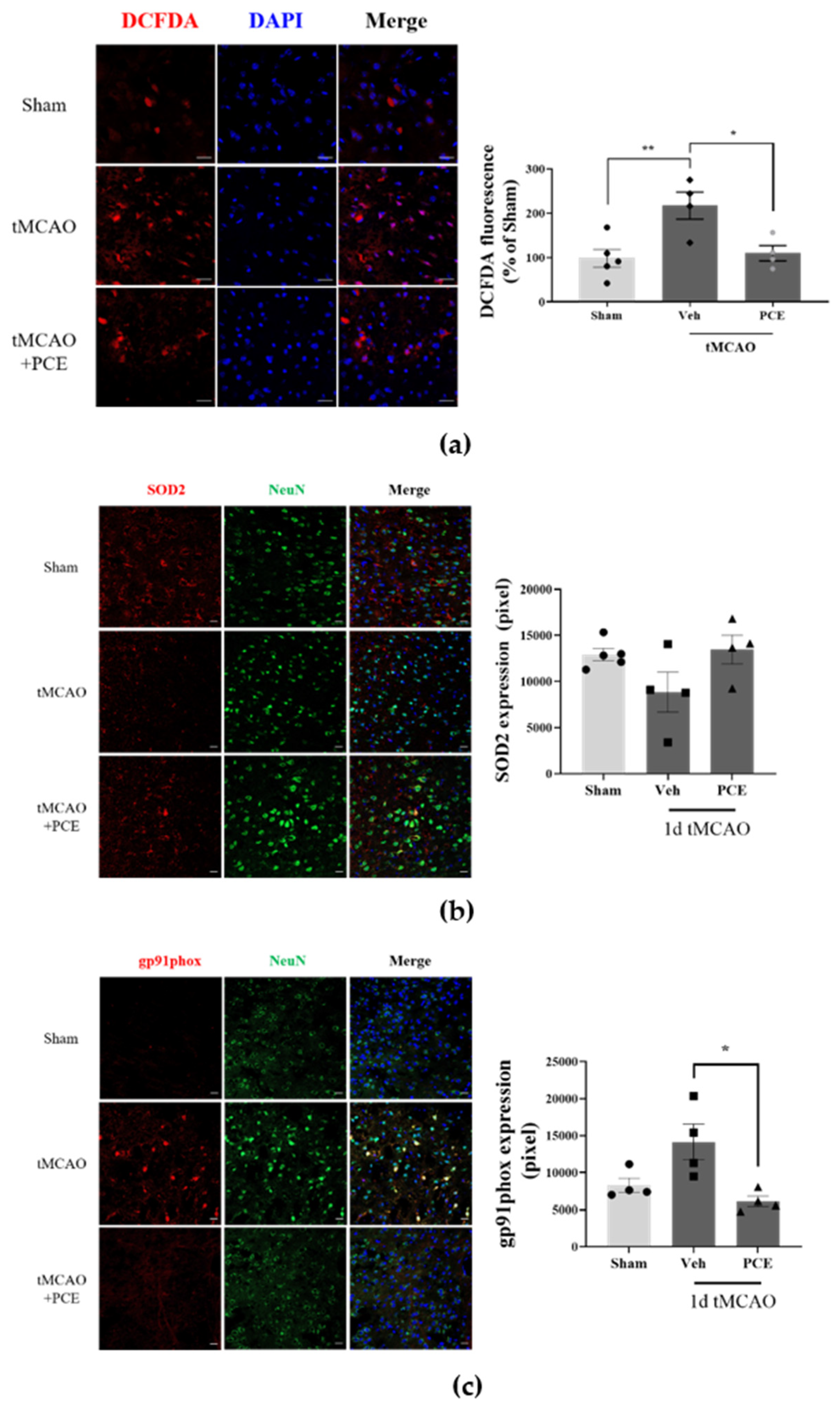 Antioxidants 11 00099 g004