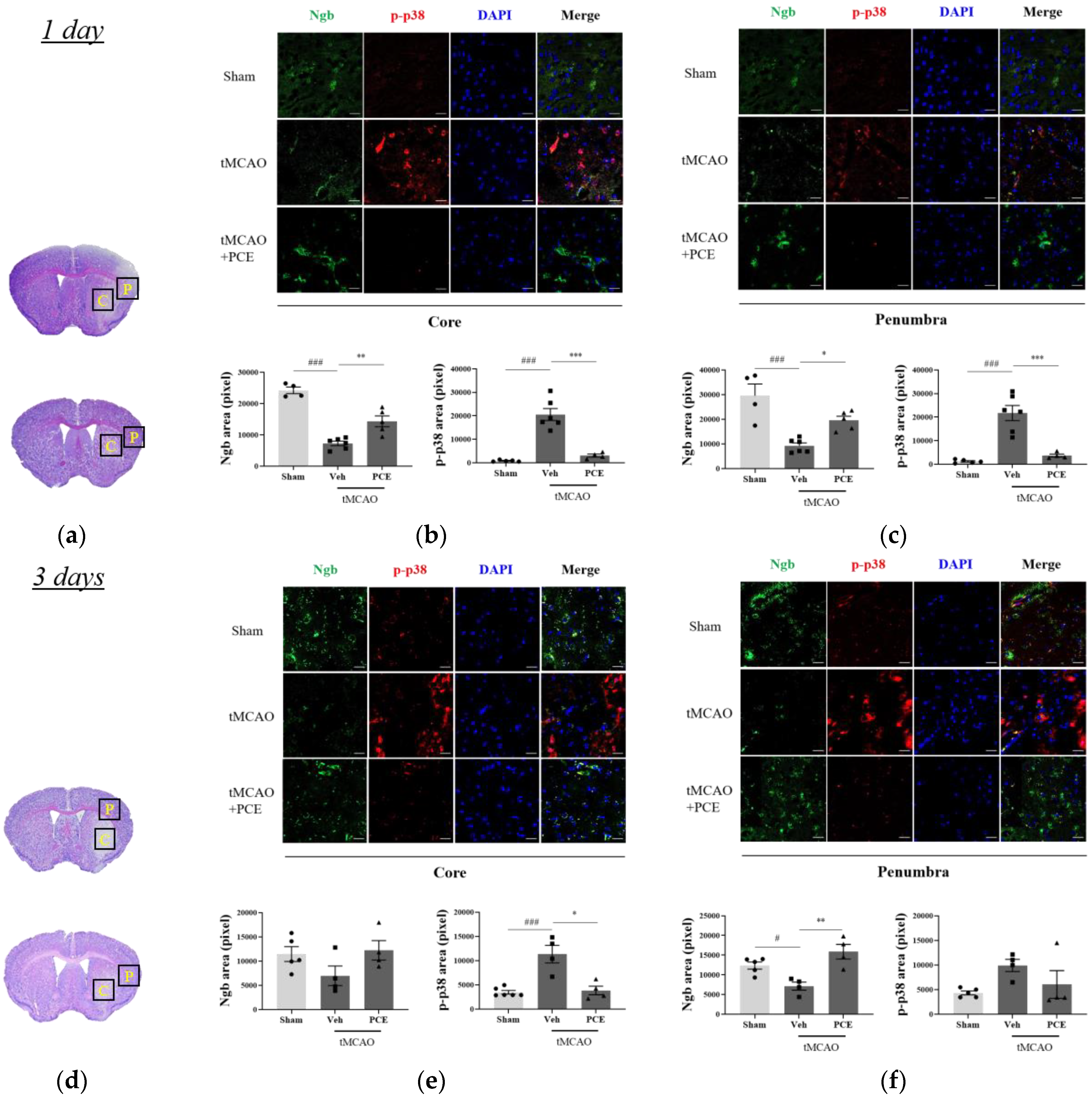 Antioxidants 11 00099 g007