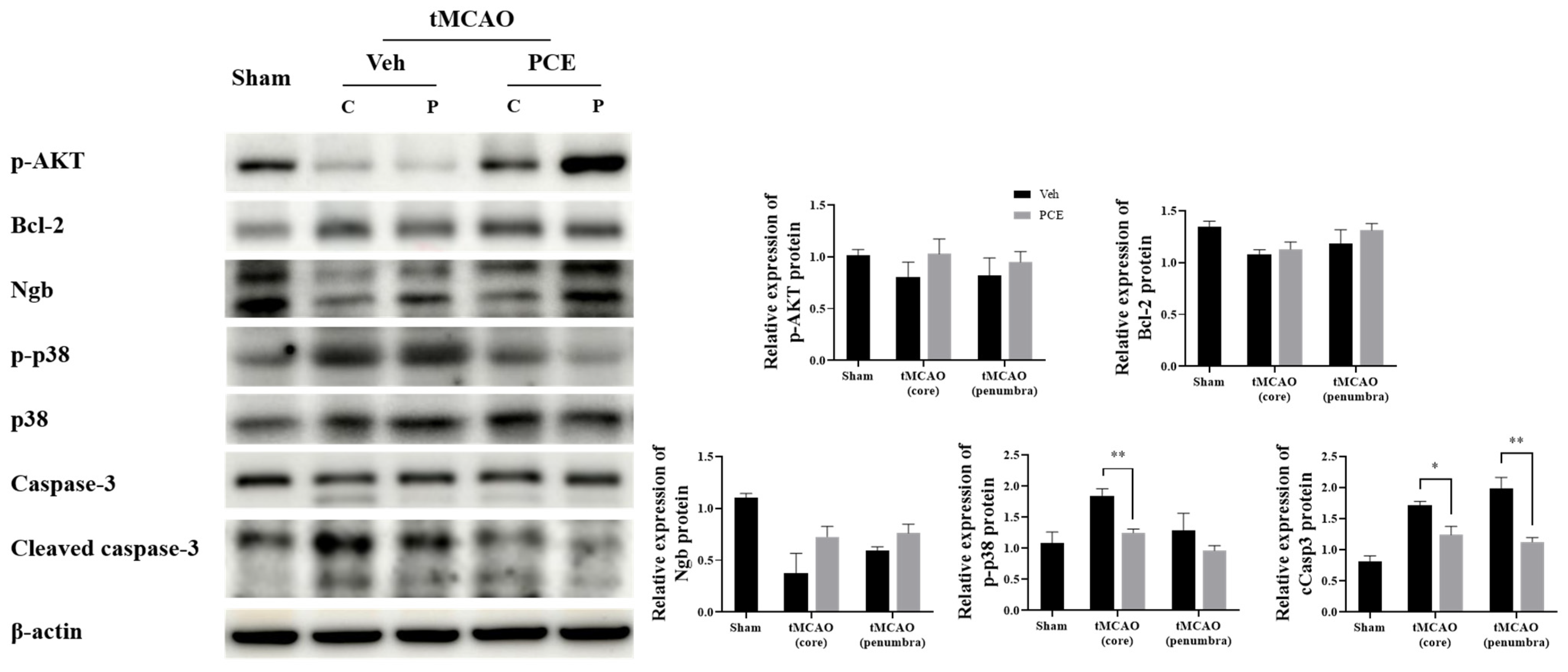 Antioxidants 11 00099 g010