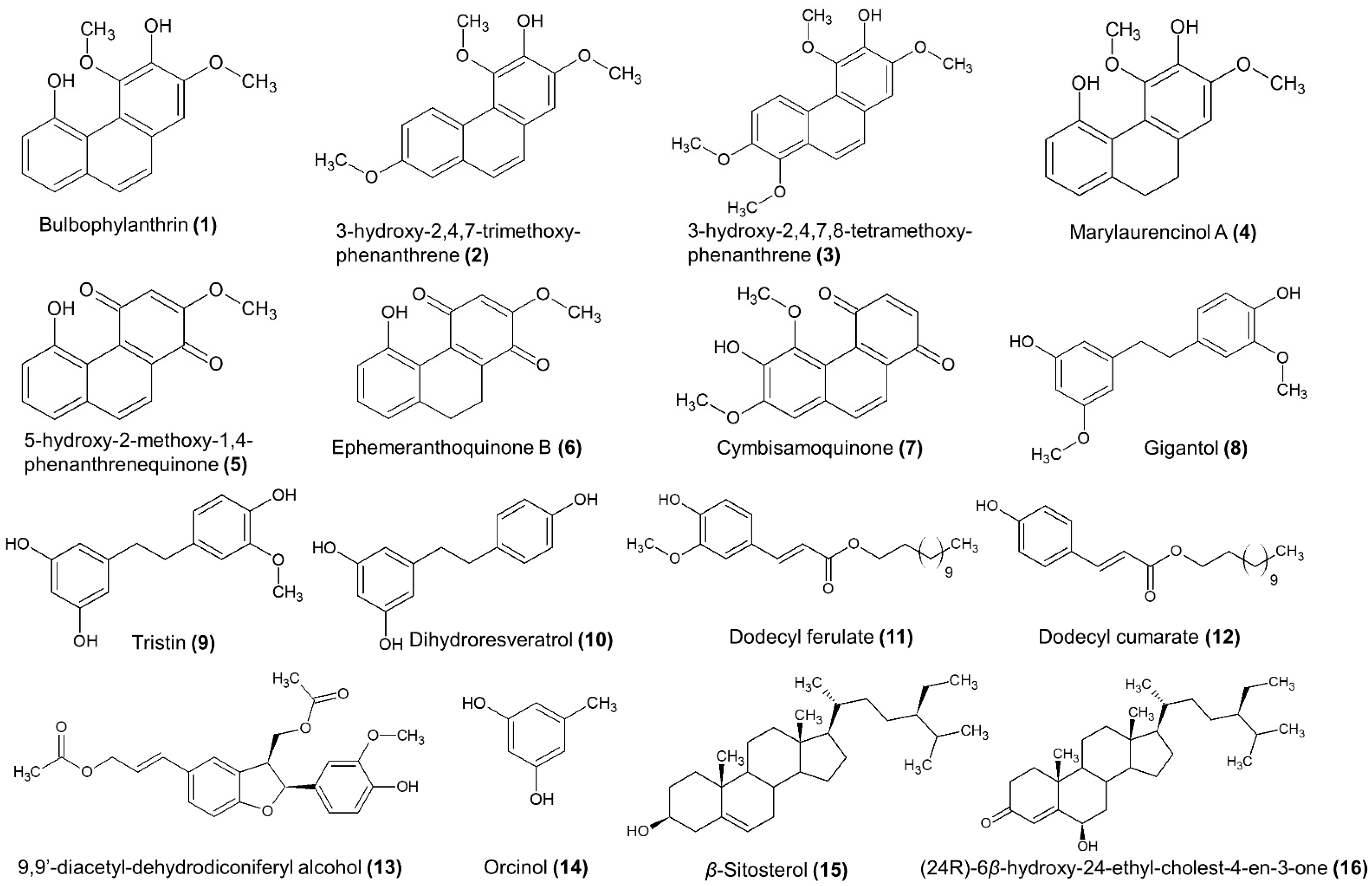 Antioxidants 11 00101 g003