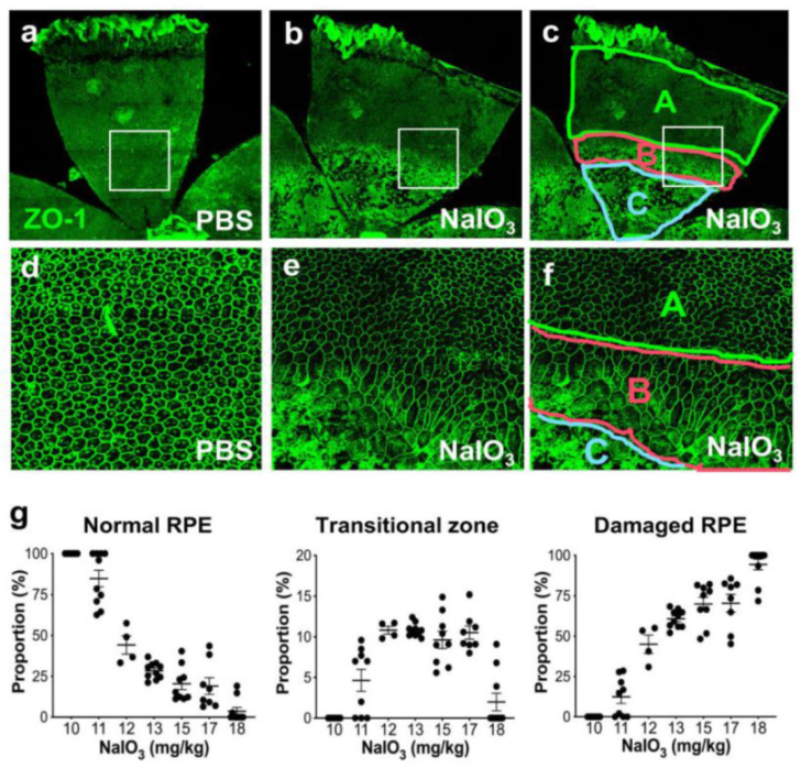 Antioxidants 11 00103 g001