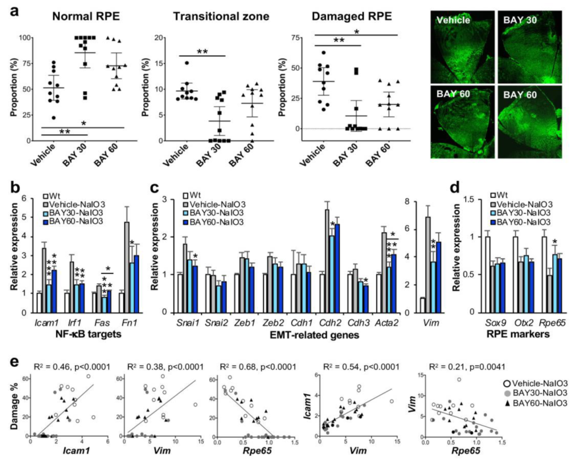 Antioxidants 11 00103 g002