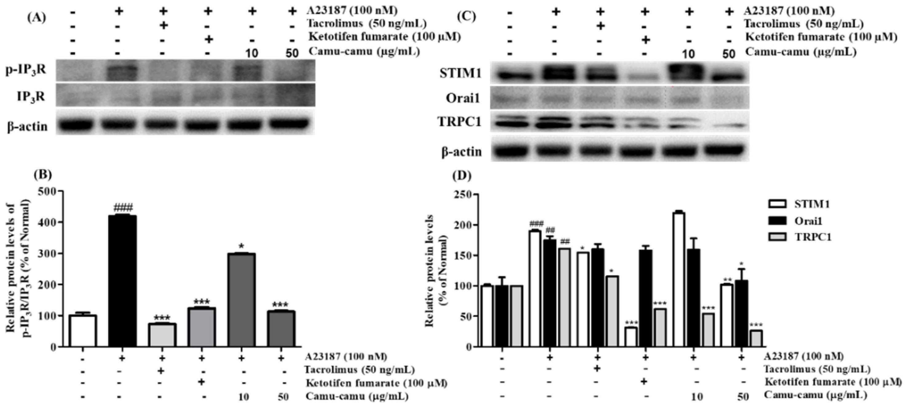 Antioxidants 11 00104 g006