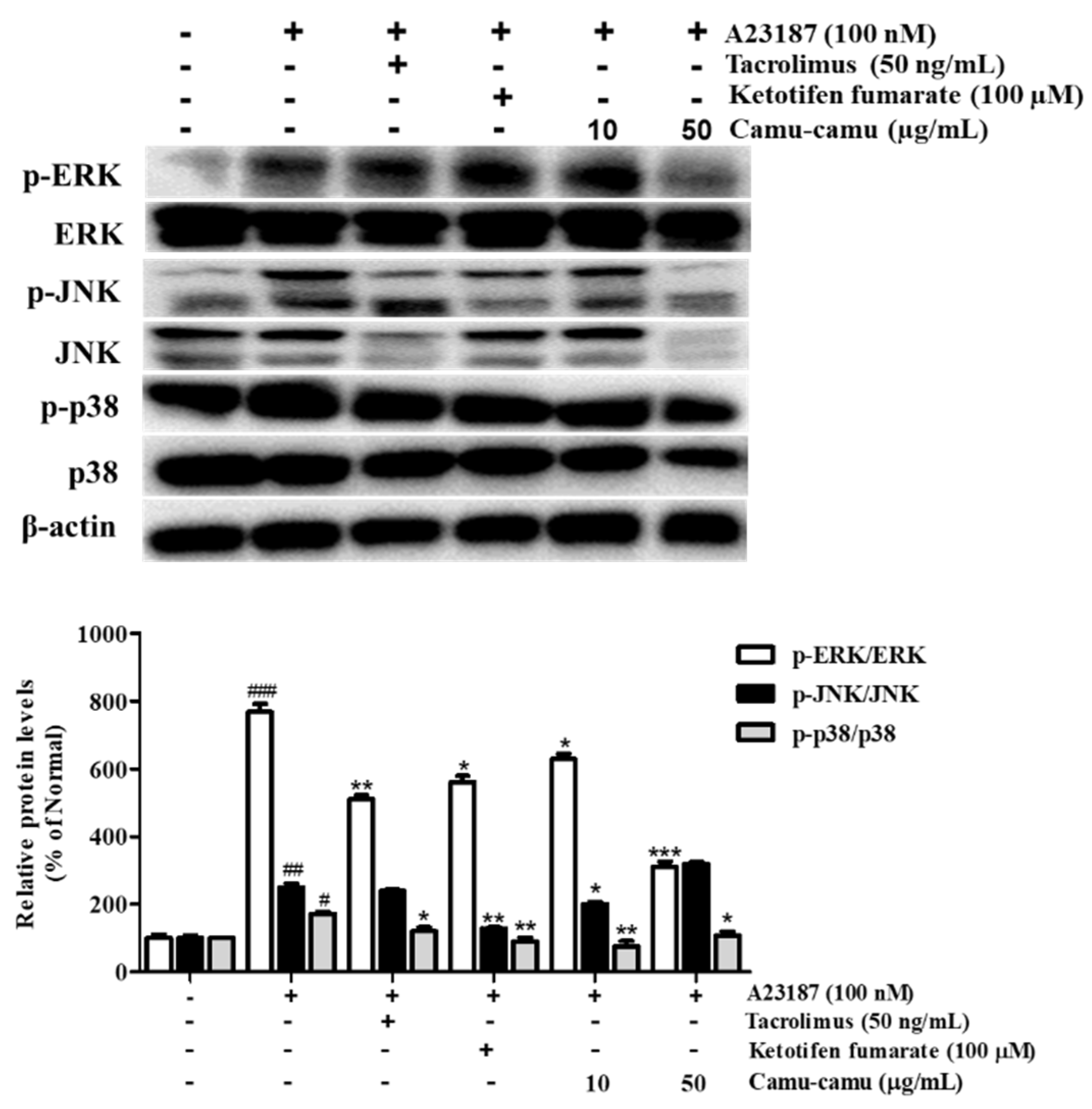 Antioxidants 11 00104 g007