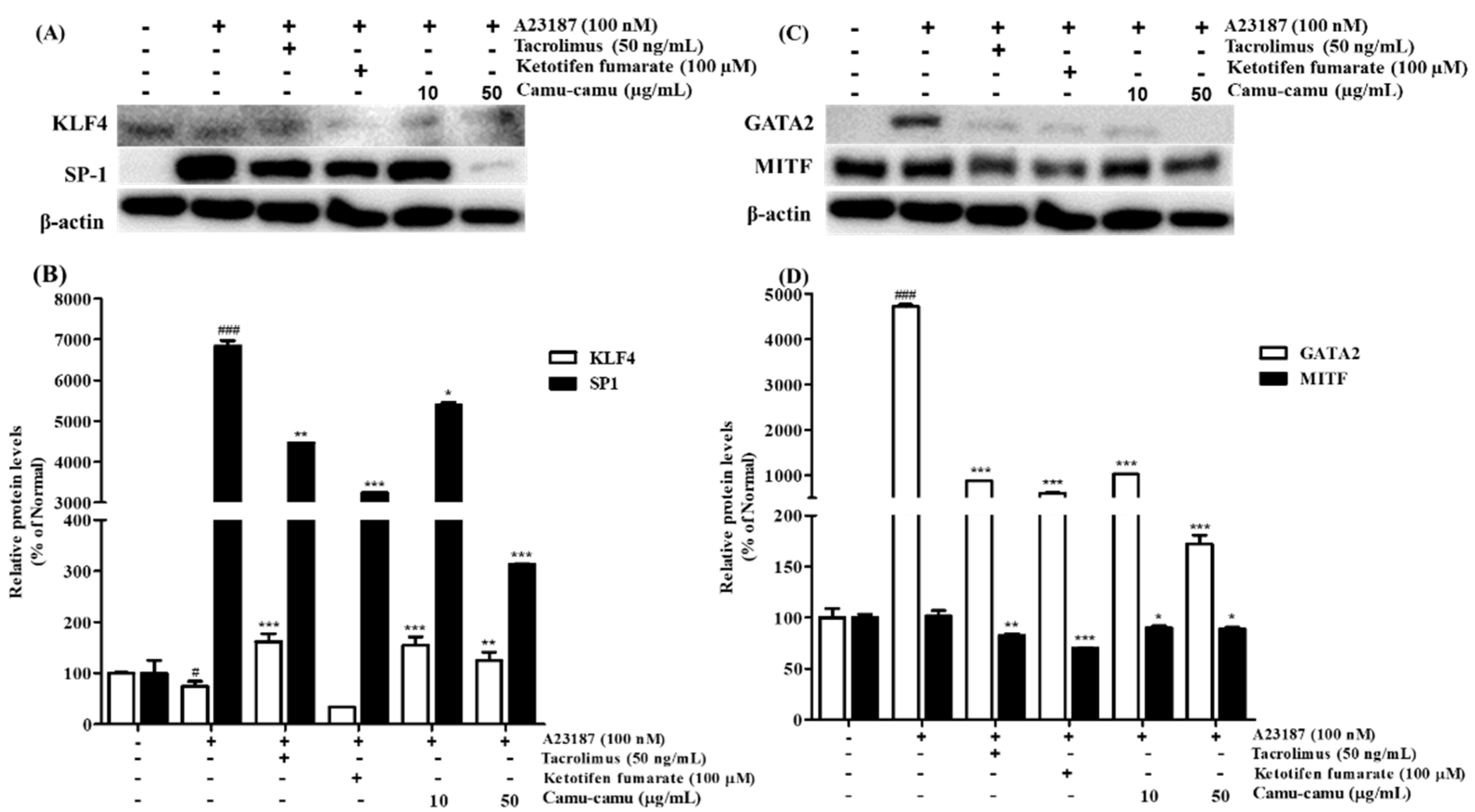 Antioxidants 11 00104 g008