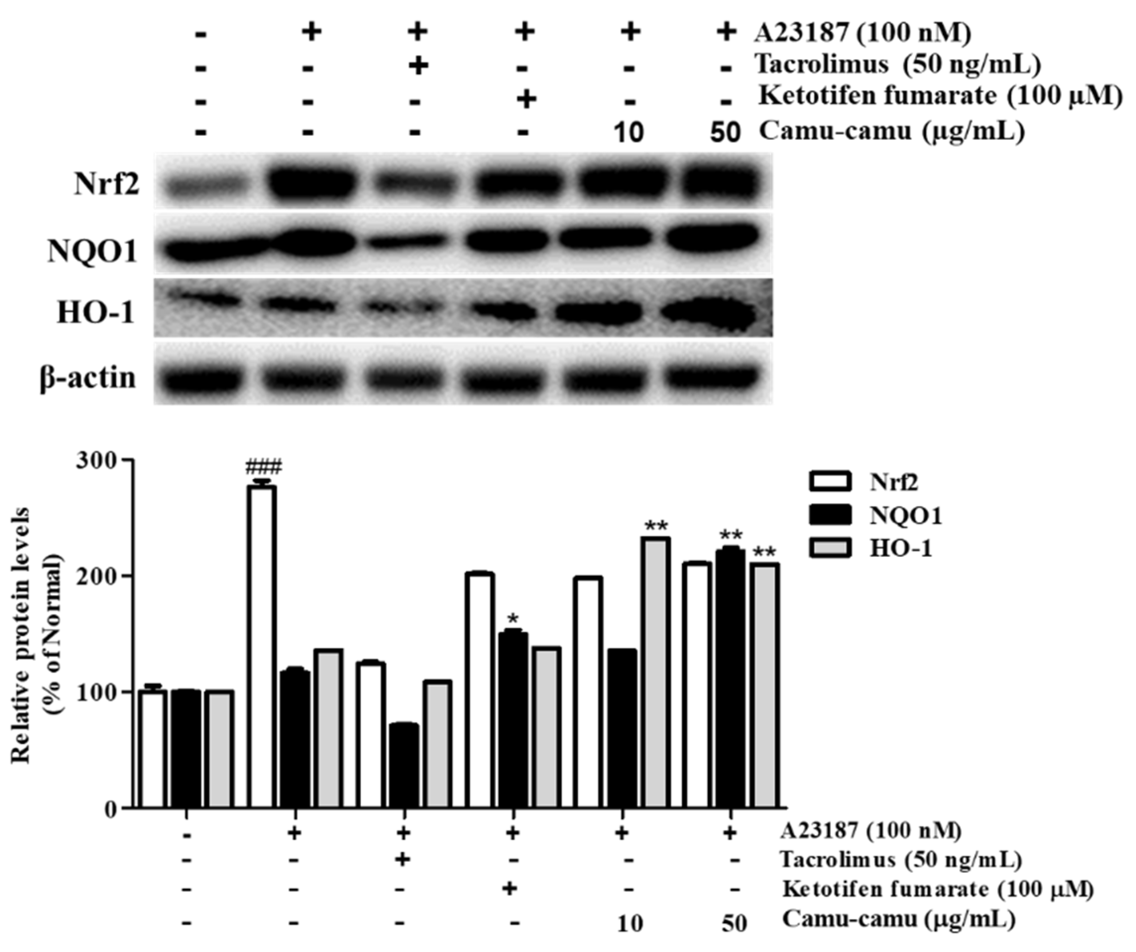 Antioxidants 11 00104 g009
