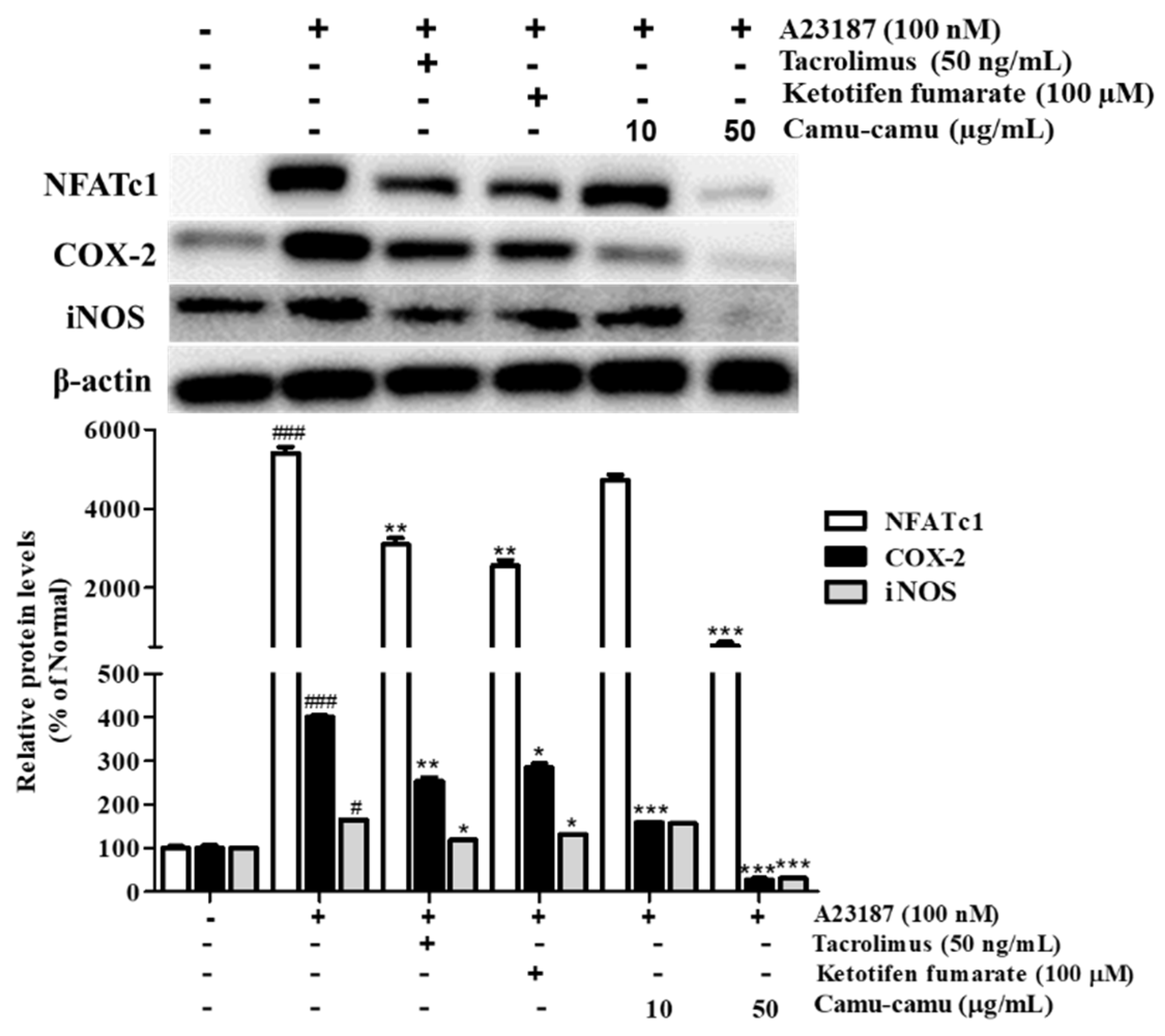 Antioxidants 11 00104 g010