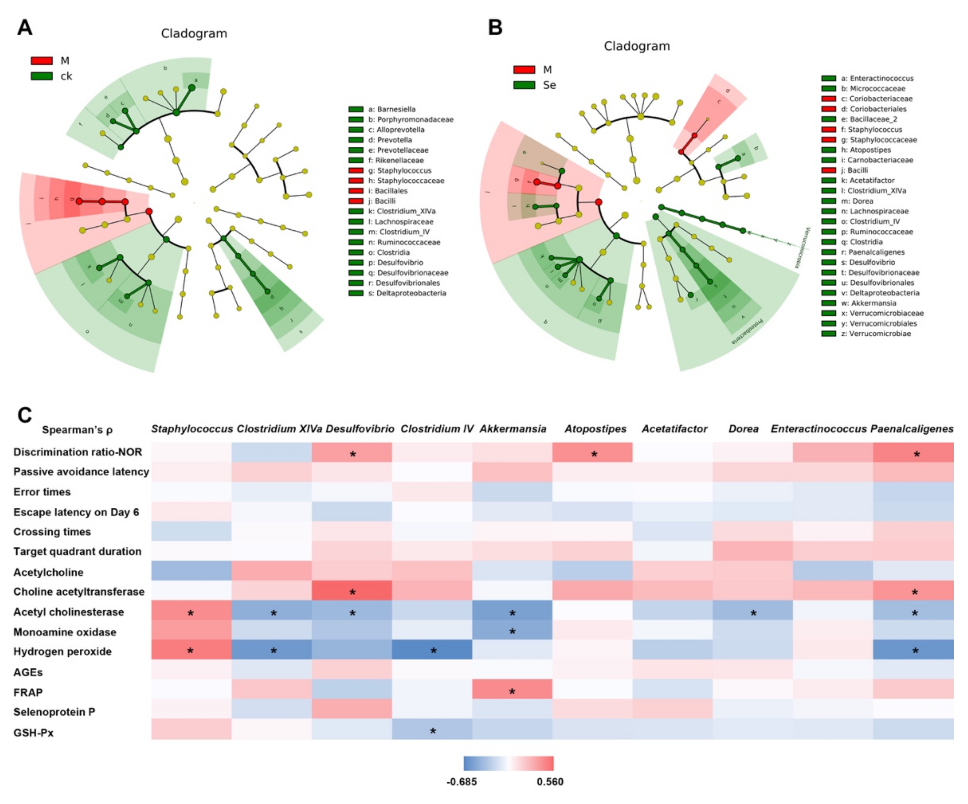 Antioxidants 11 00111 g005