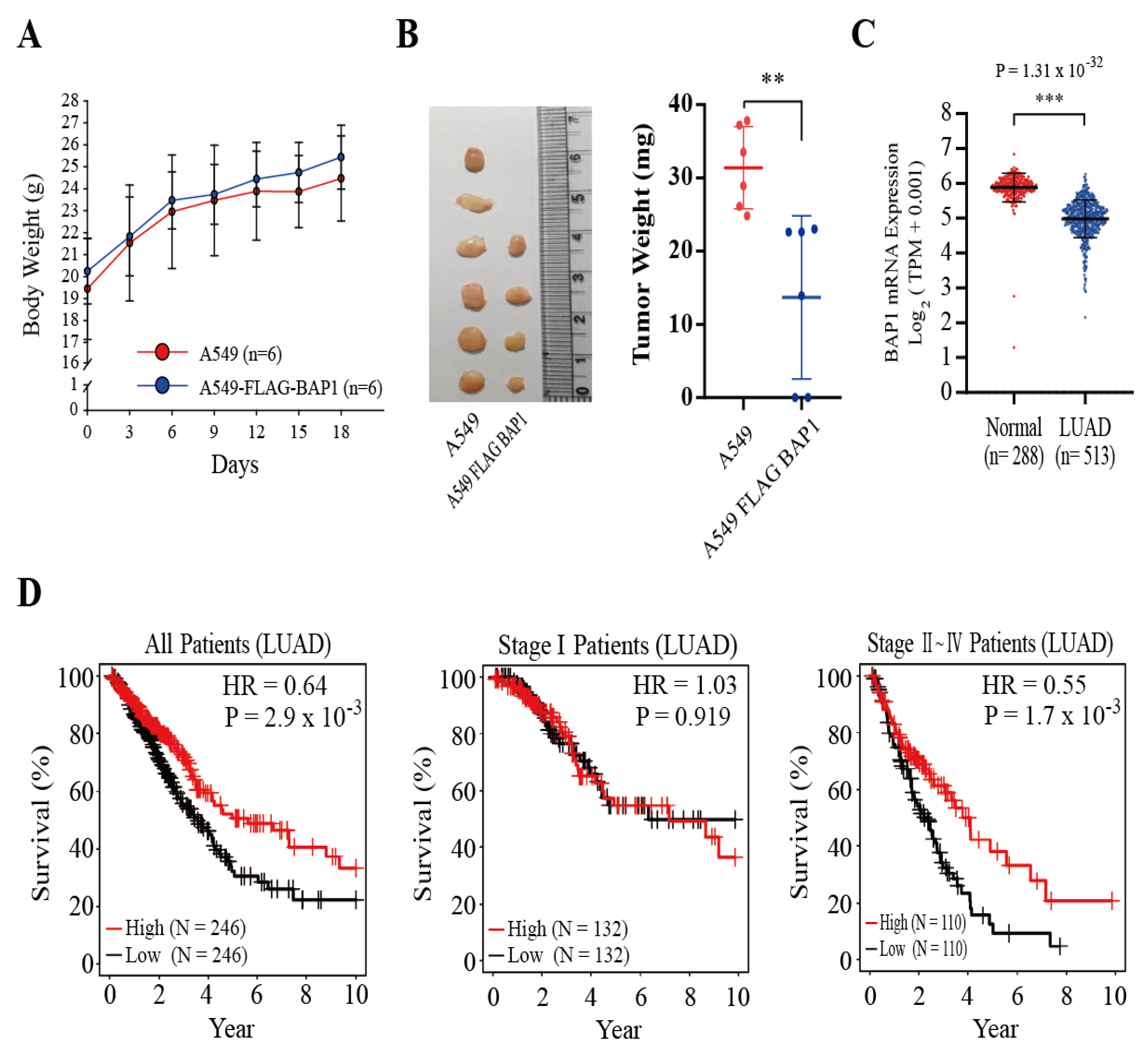 Antioxidants 11 00114 g005