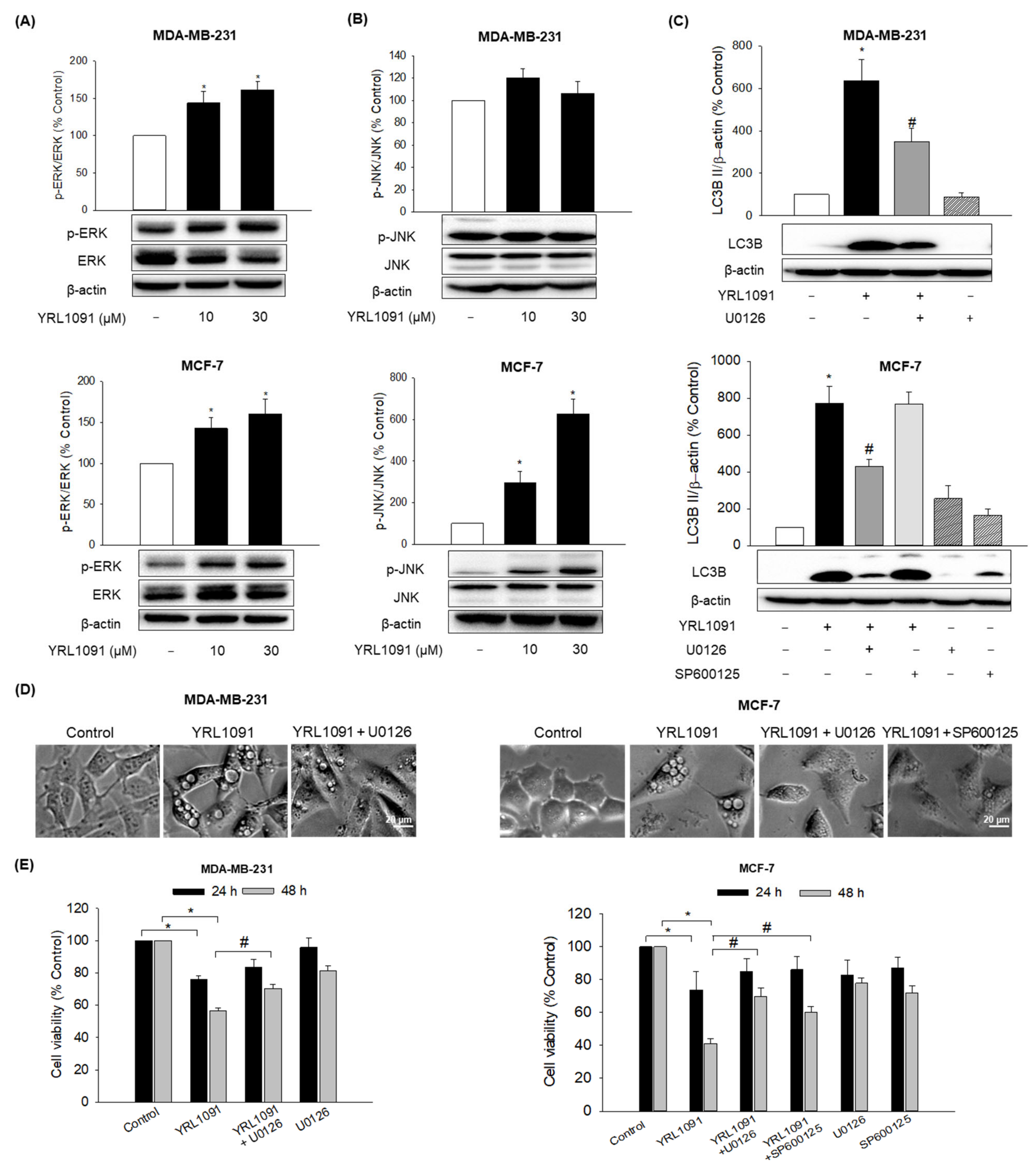 Antioxidants 11 00117 g003
