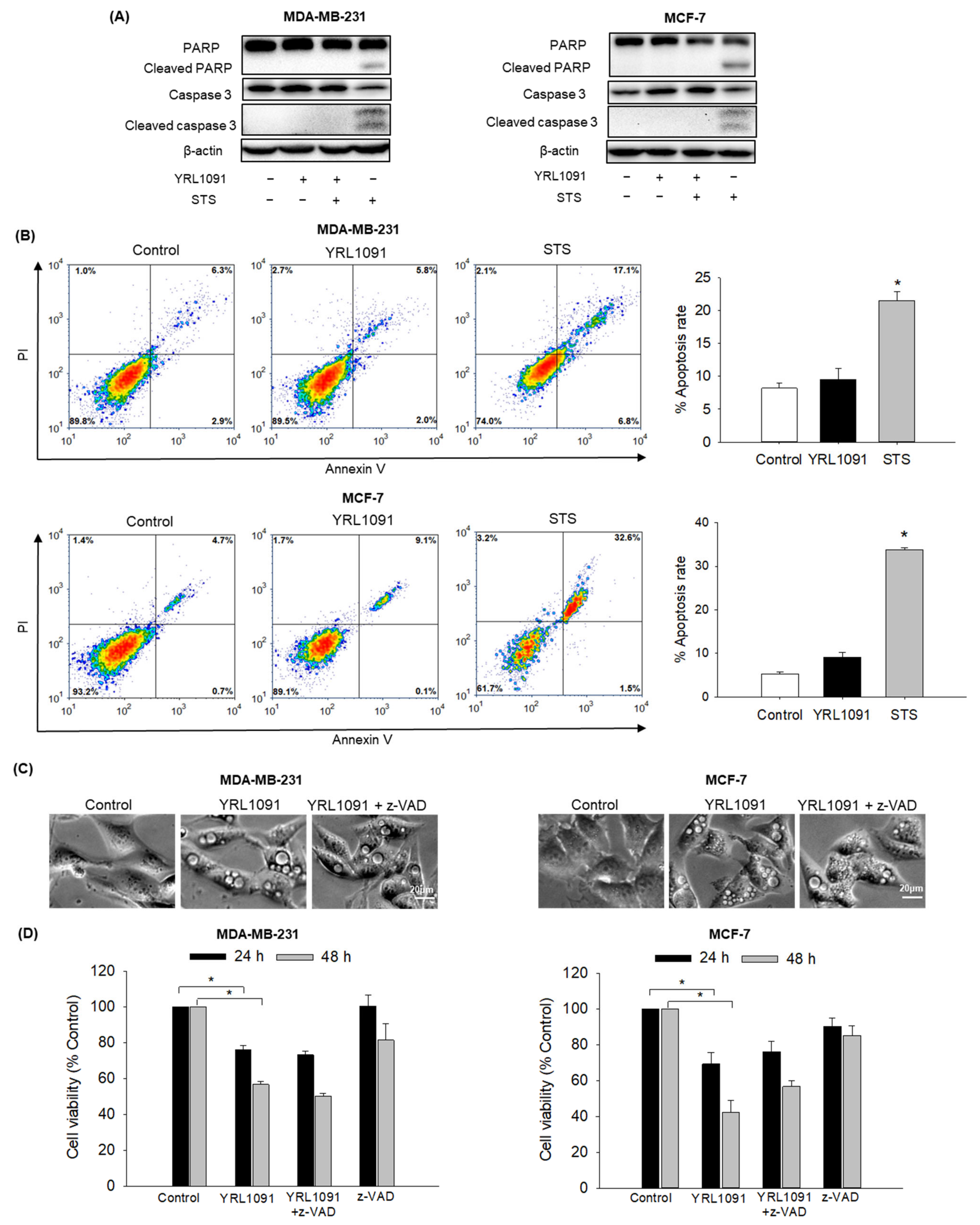 Antioxidants 11 00117 g007