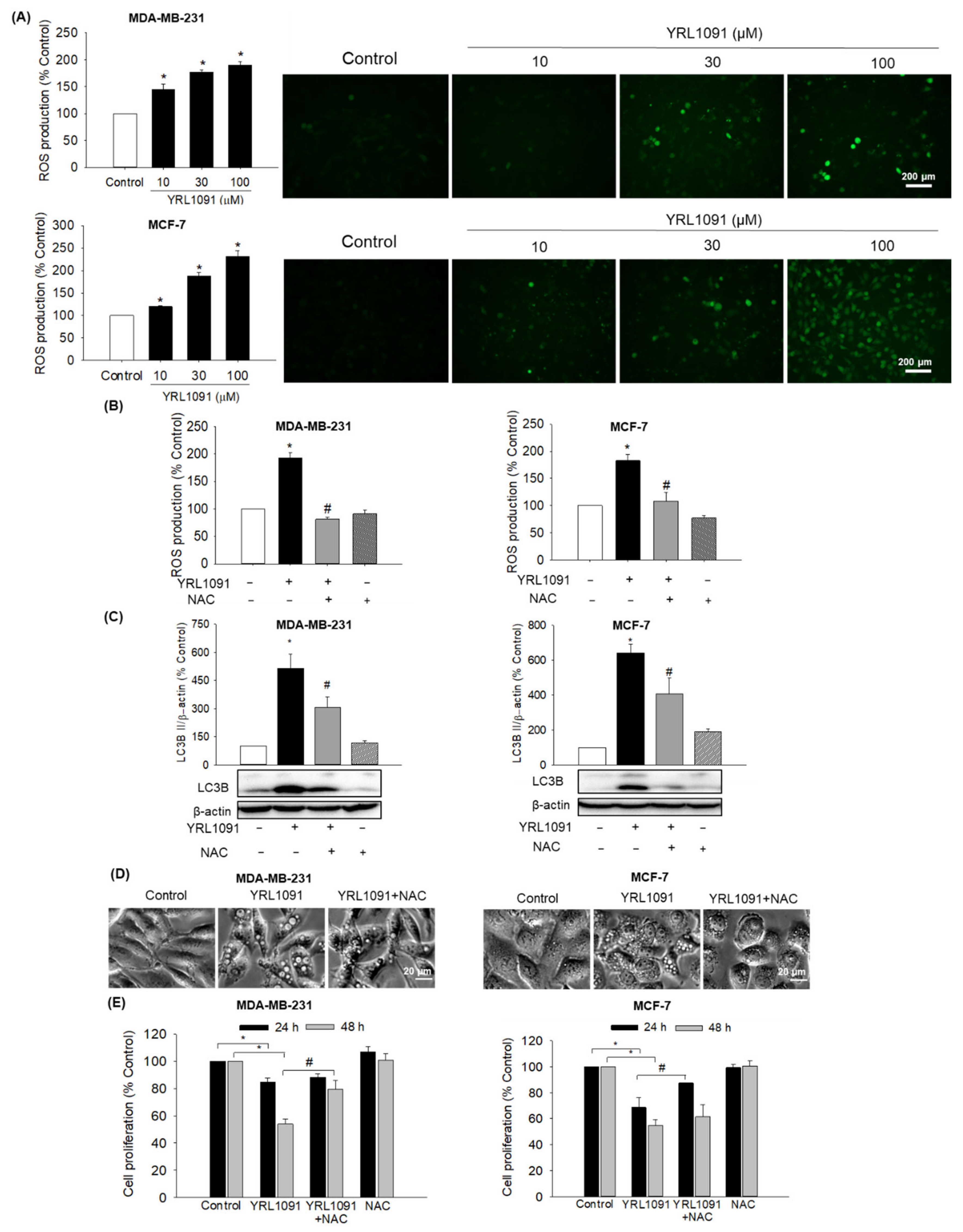 Antioxidants 11 00117 g008
