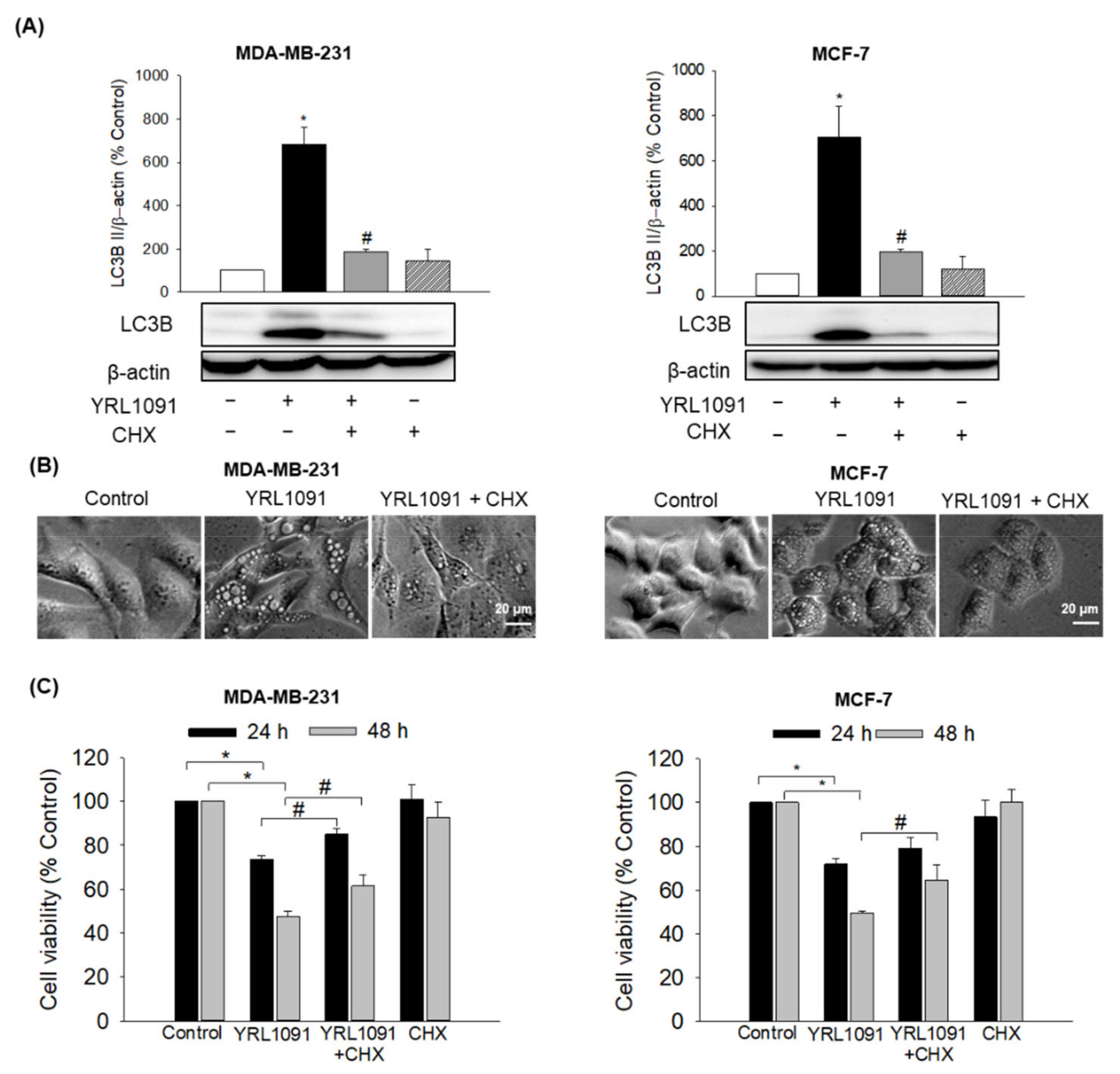 Antioxidants 11 00117 g009