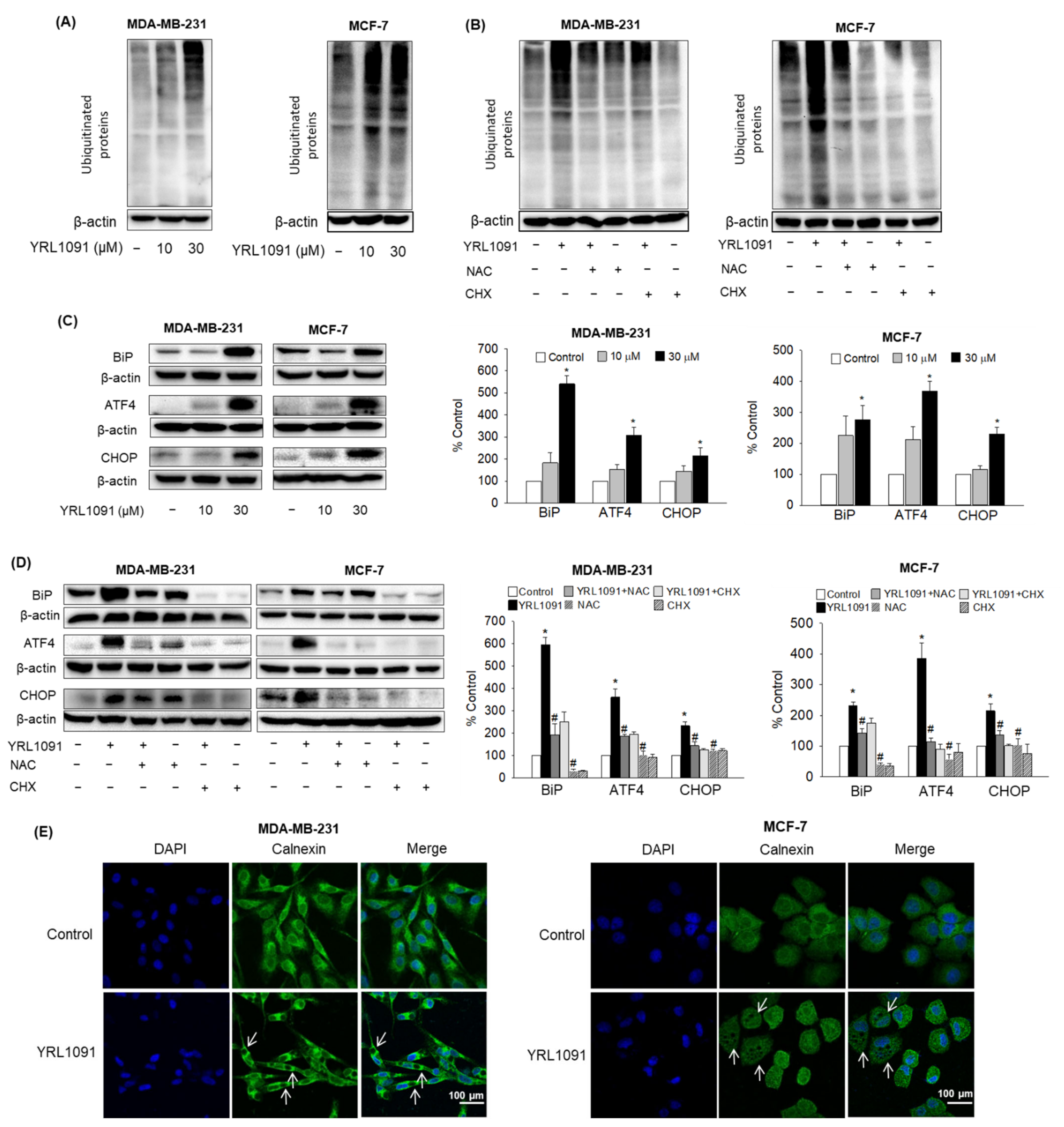 Antioxidants 11 00117 g010