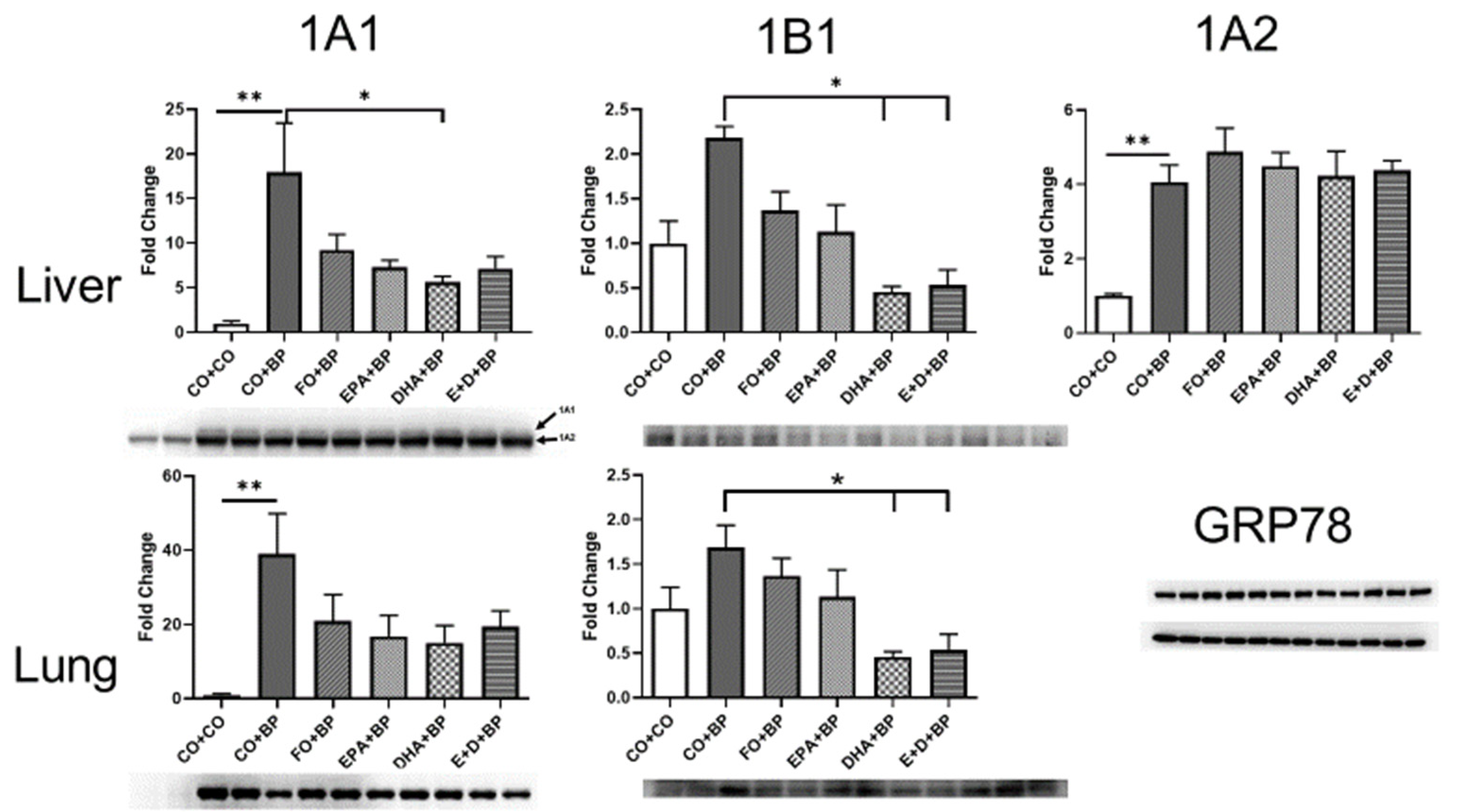 Antioxidants 11 00119 g007