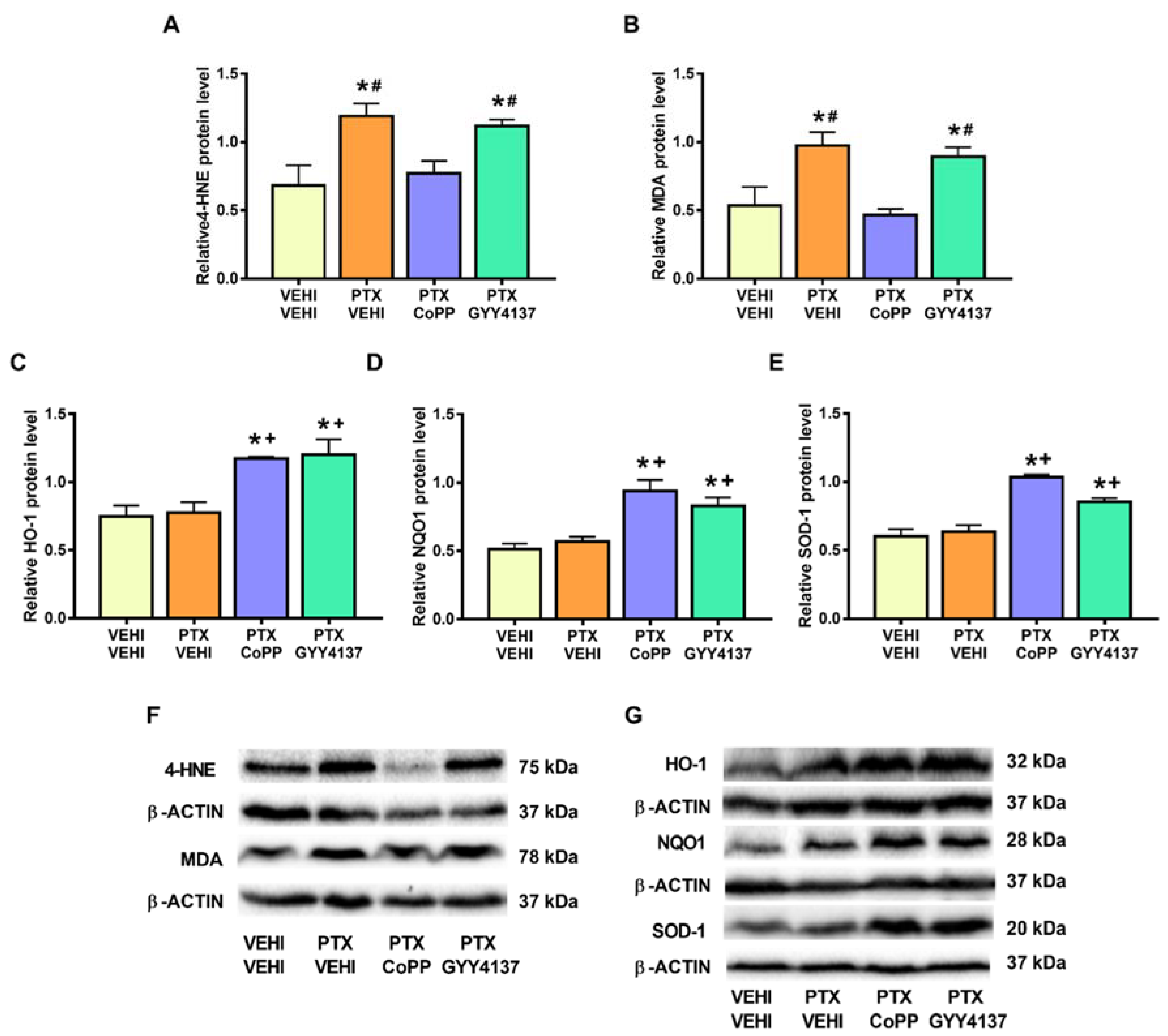 Antioxidants 11 00122 g008