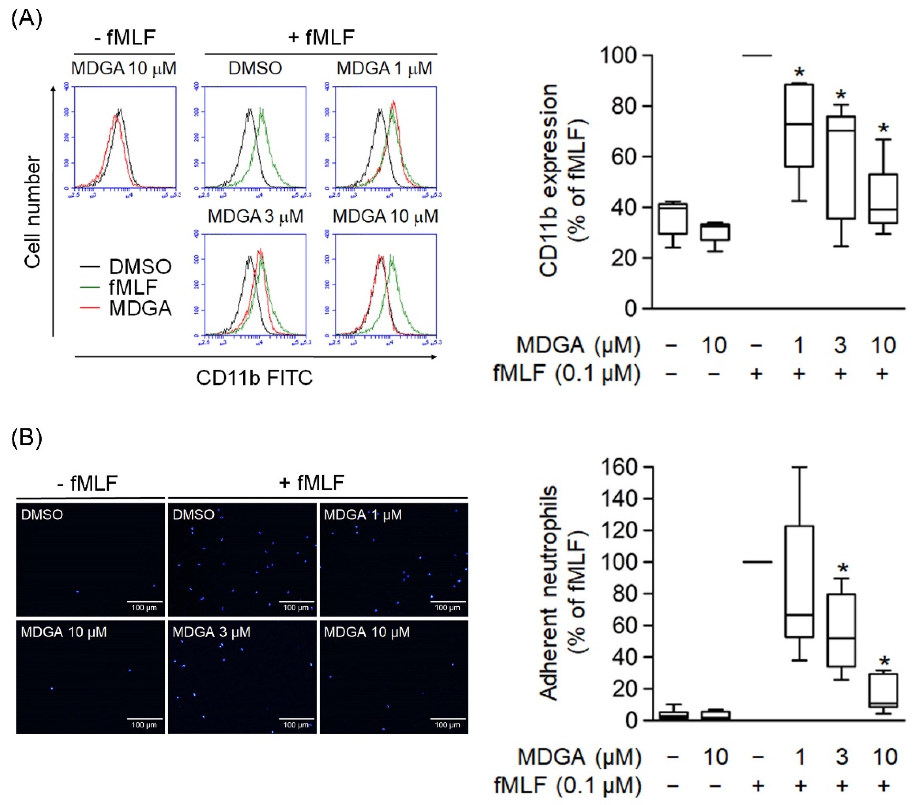 Antioxidants 11 00123 g005