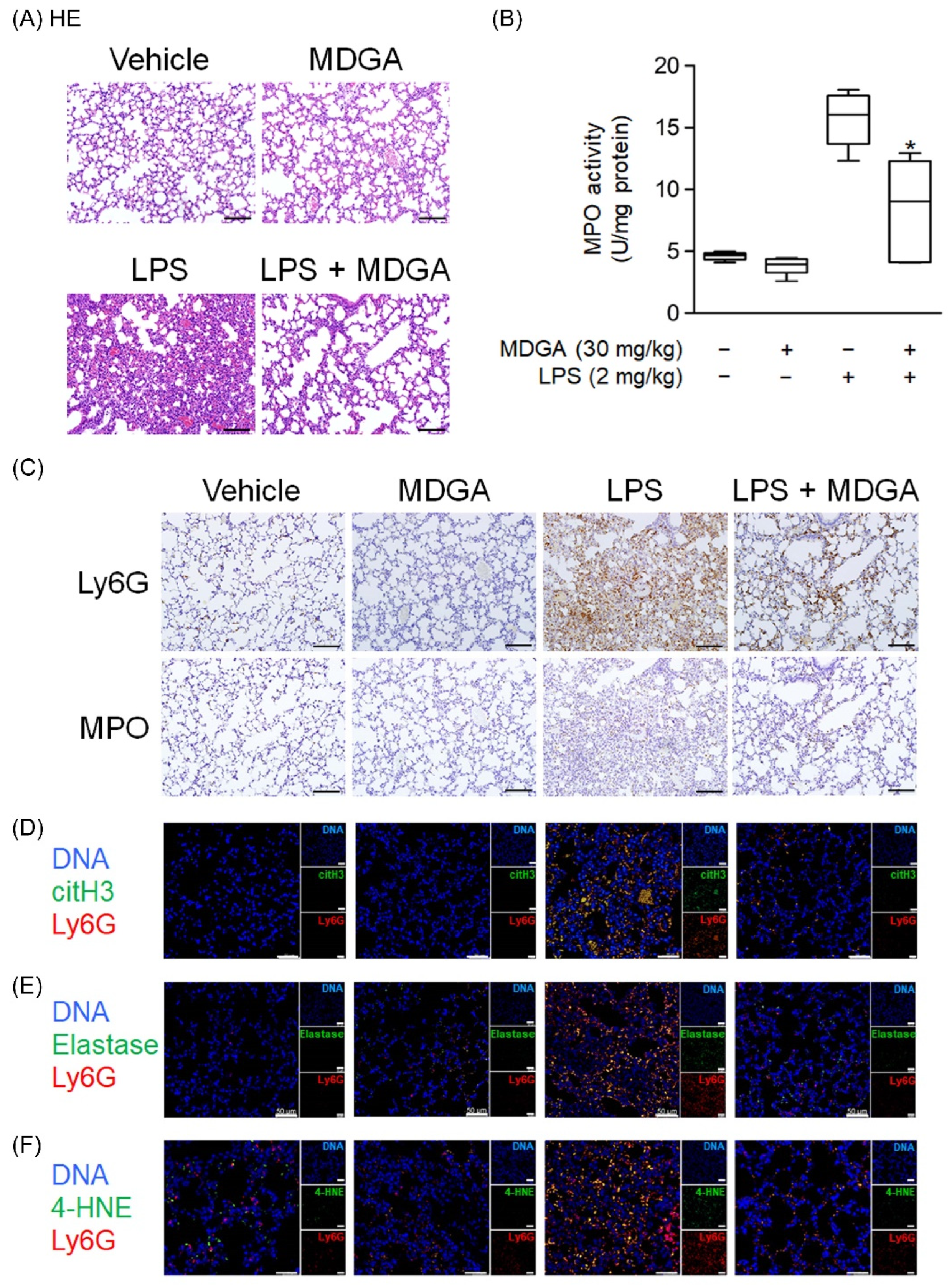 Antioxidants 11 00123 g008