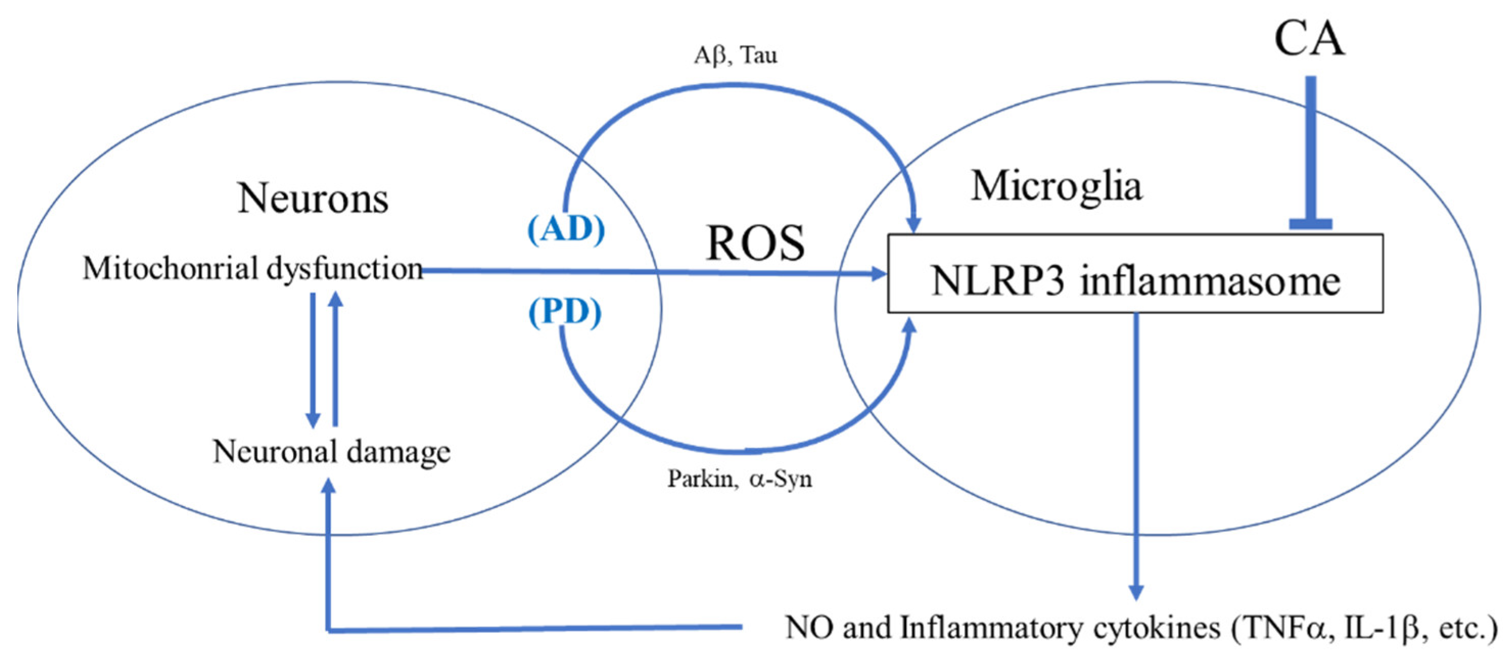 Antioxidants 11 00124 g001
