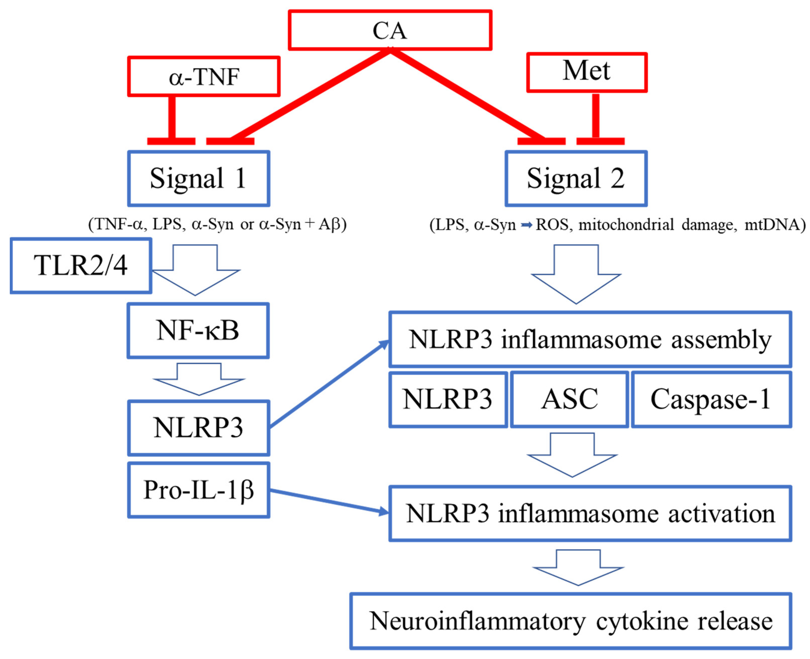 Antioxidants 11 00124 g003