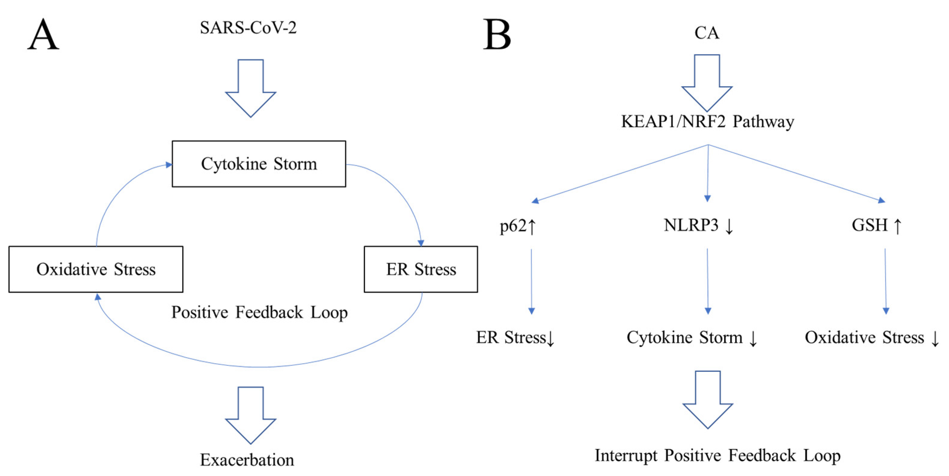 Antioxidants 11 00124 g005