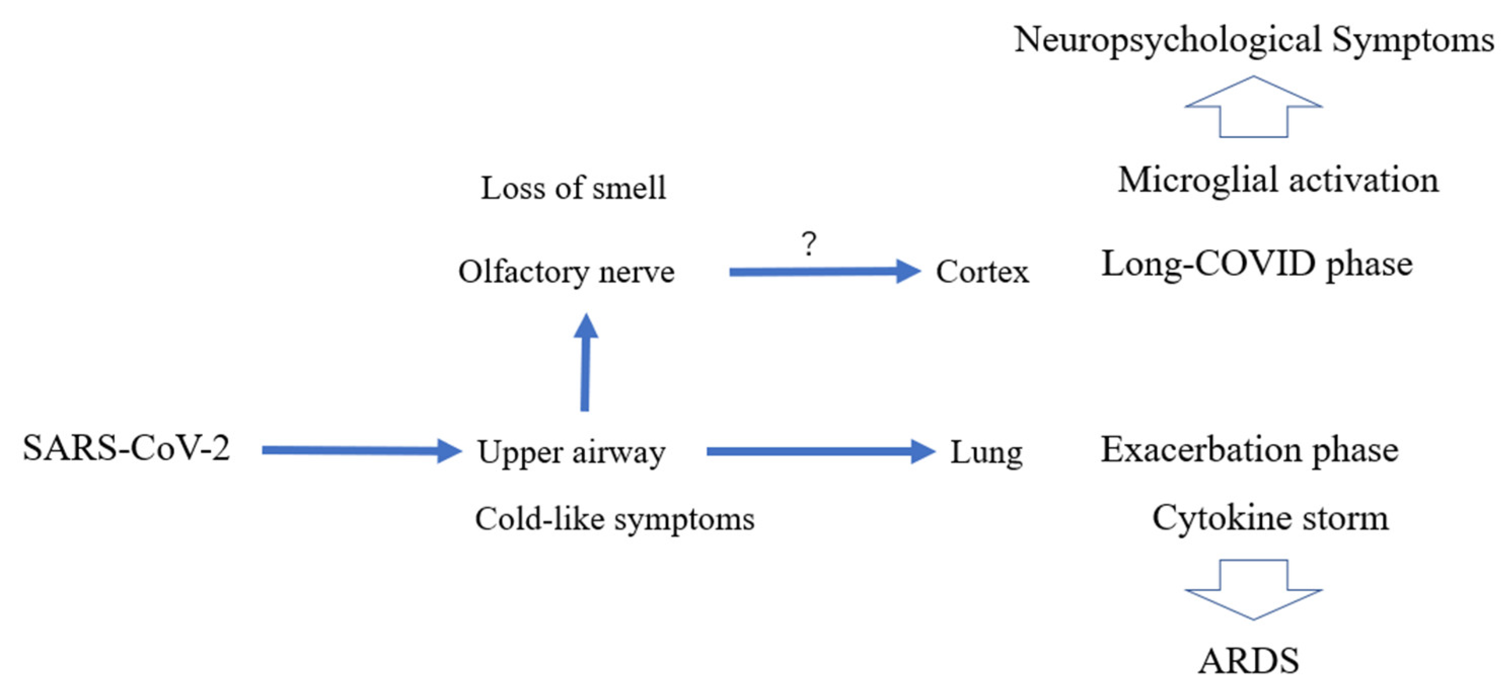 Antioxidants 11 00124 g006