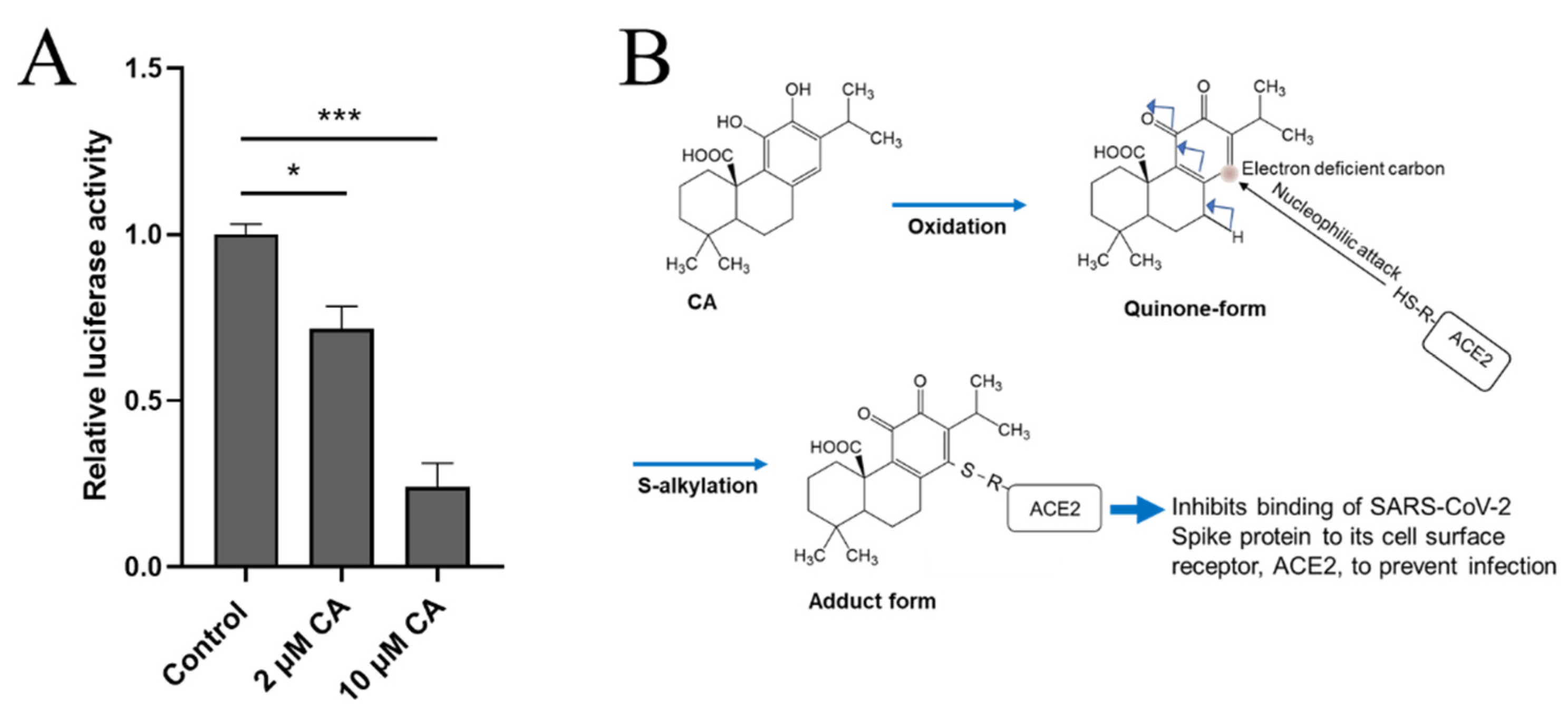 Antioxidants 11 00124 g008
