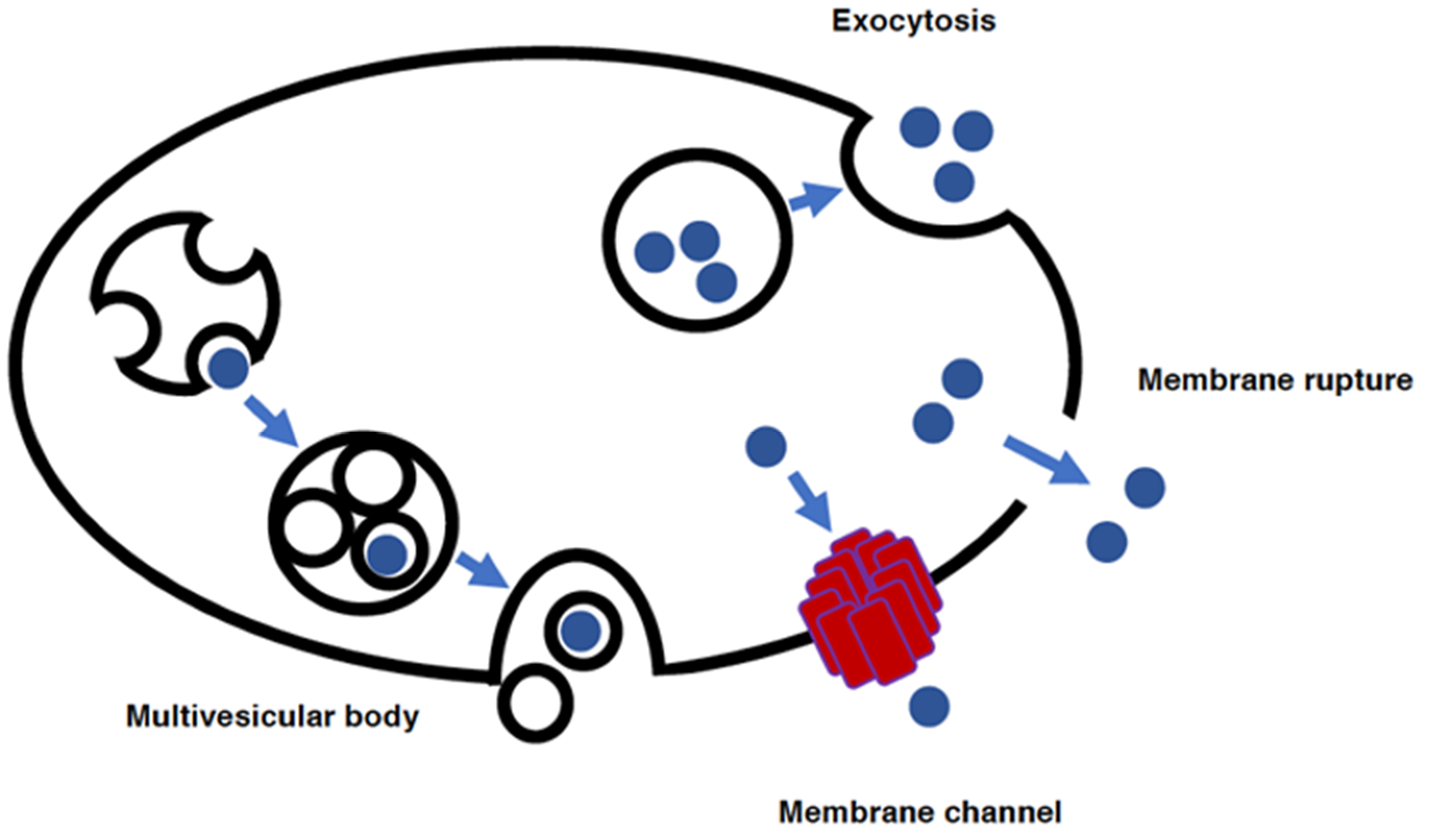 Antioxidants 11 00126 g004