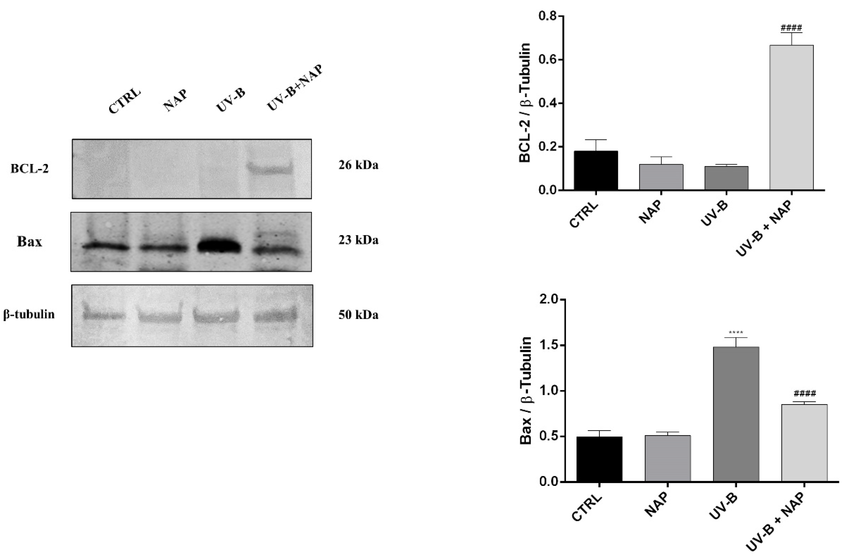Antioxidants 11 00128 g005 Antioxidants 11 00128 g005