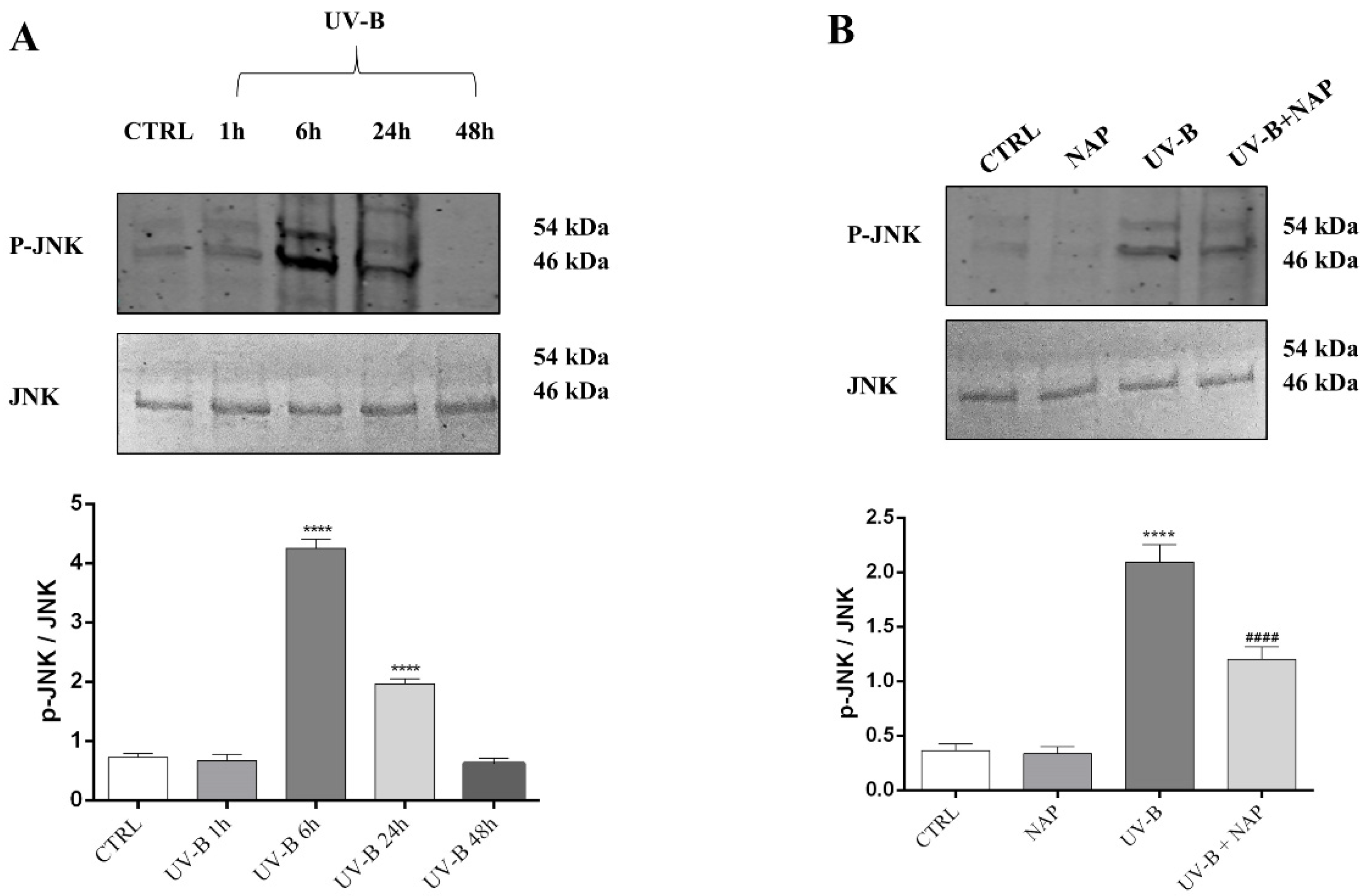 Antioxidants 11 00128 g007 Antioxidants 11 00128 g007