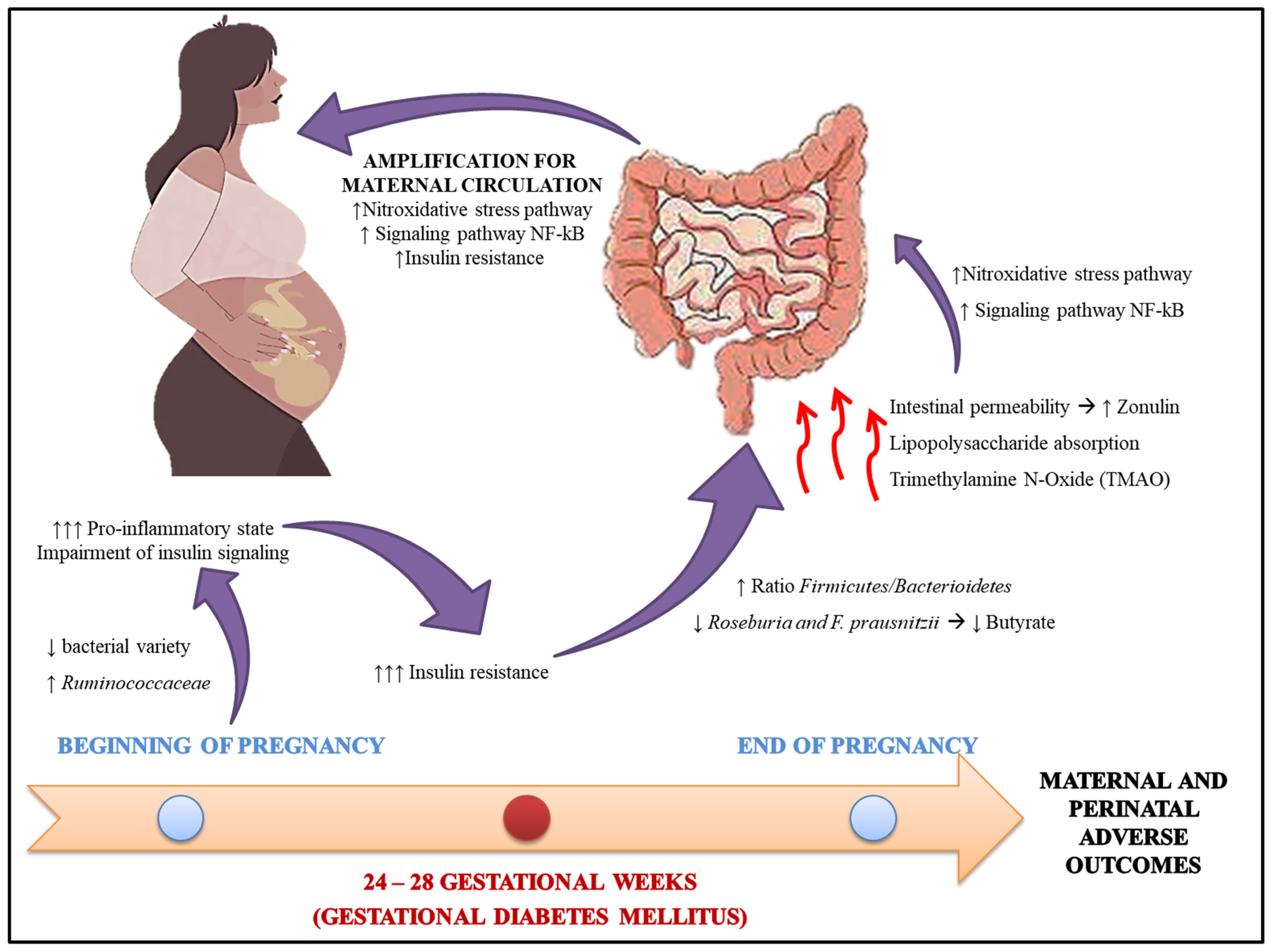 Antioxidants 11 00129 g002