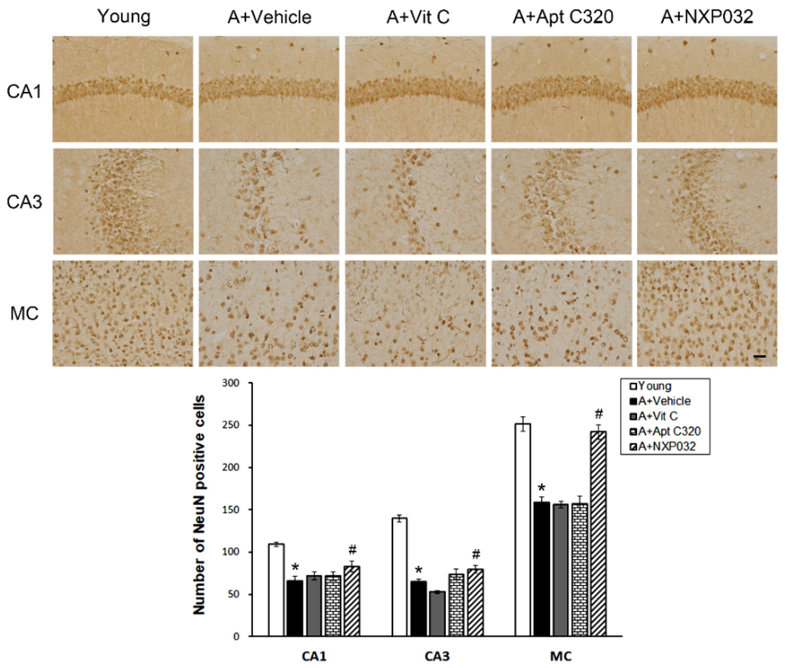 Antioxidants 11 00130 g002