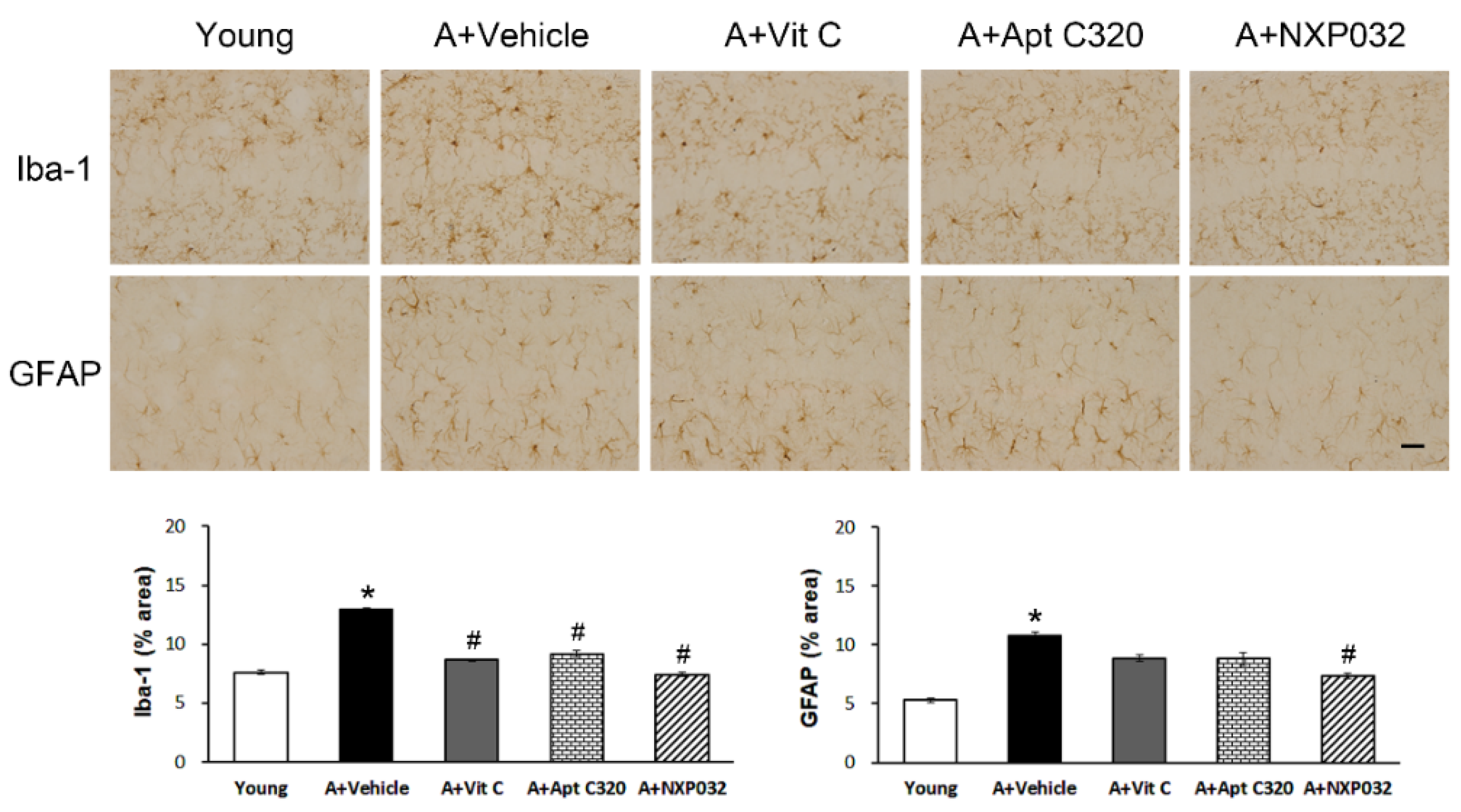 Antioxidants 11 00130 g003