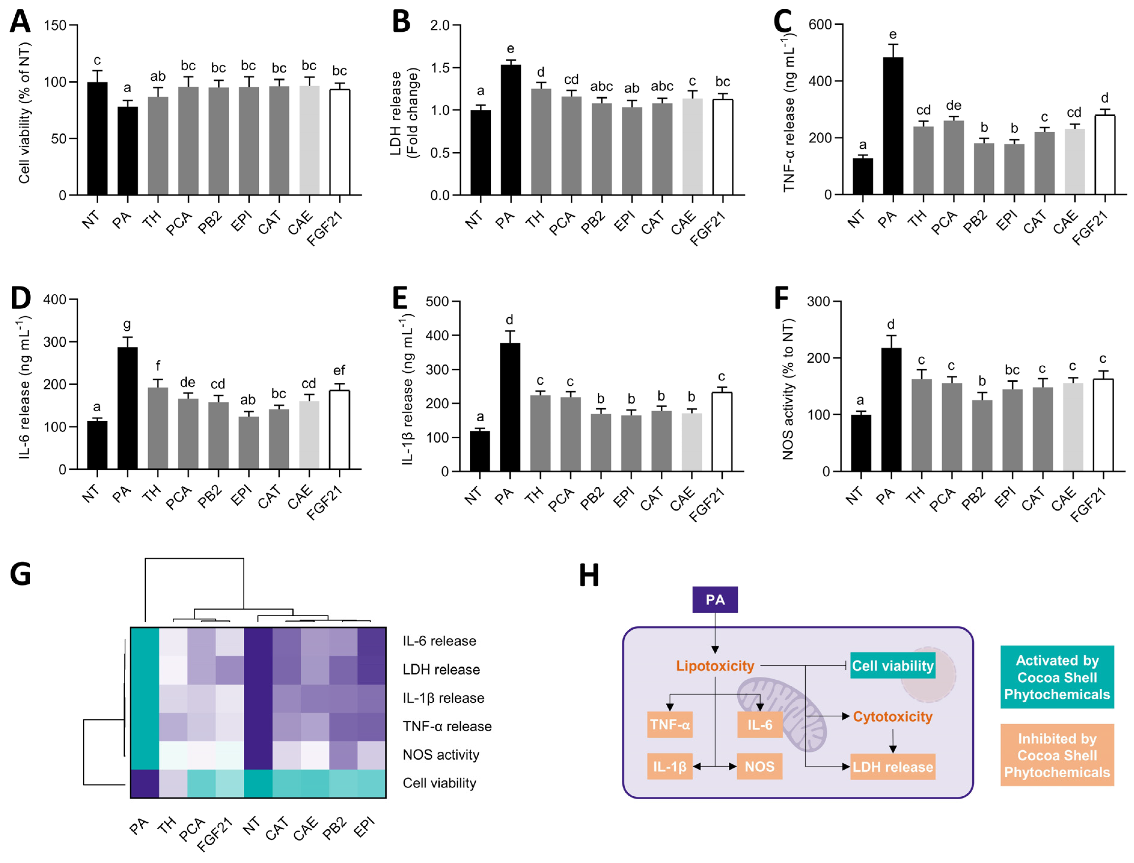 Antioxidants 11 00136 g003
