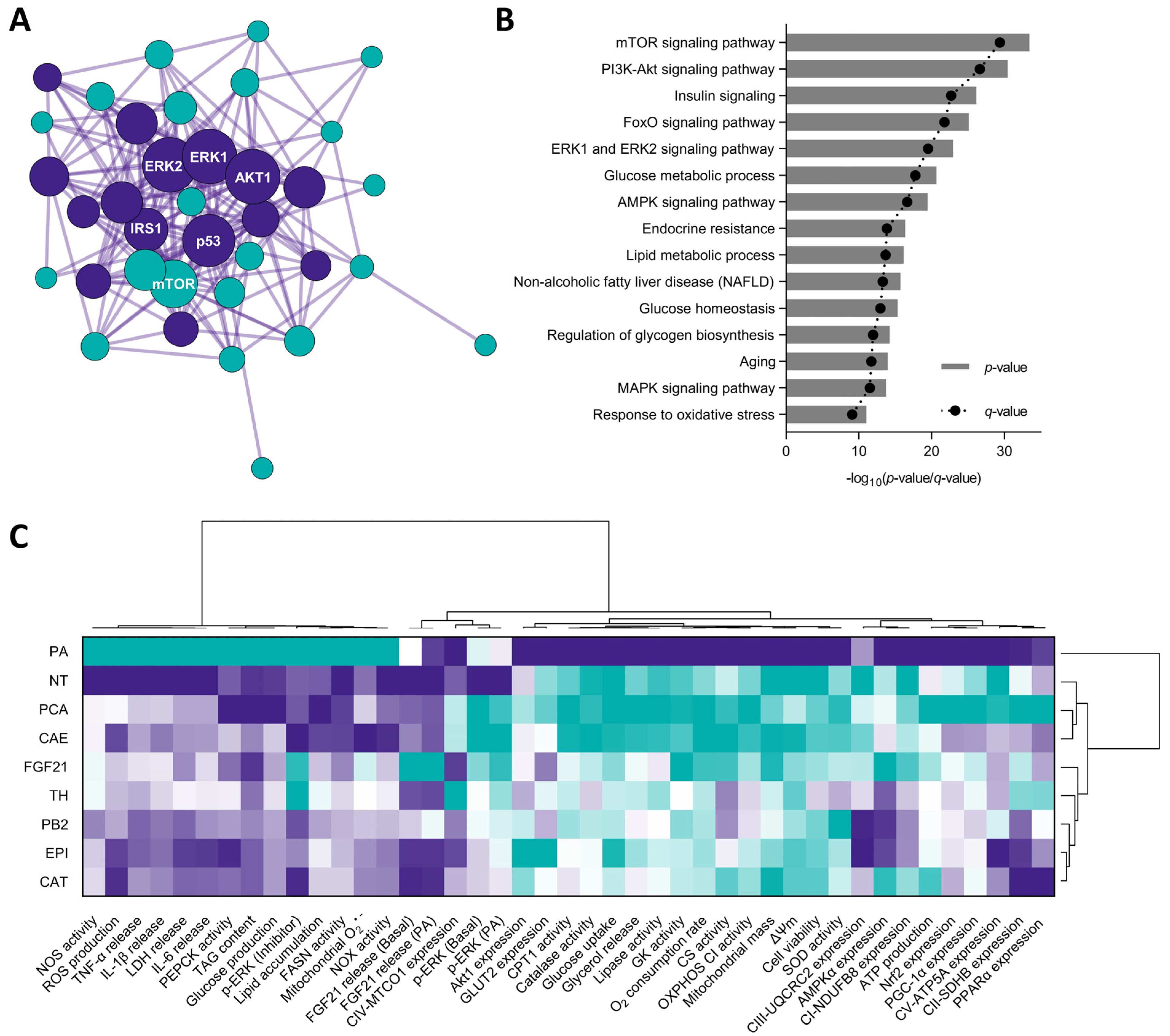 Antioxidants 11 00136 g008
