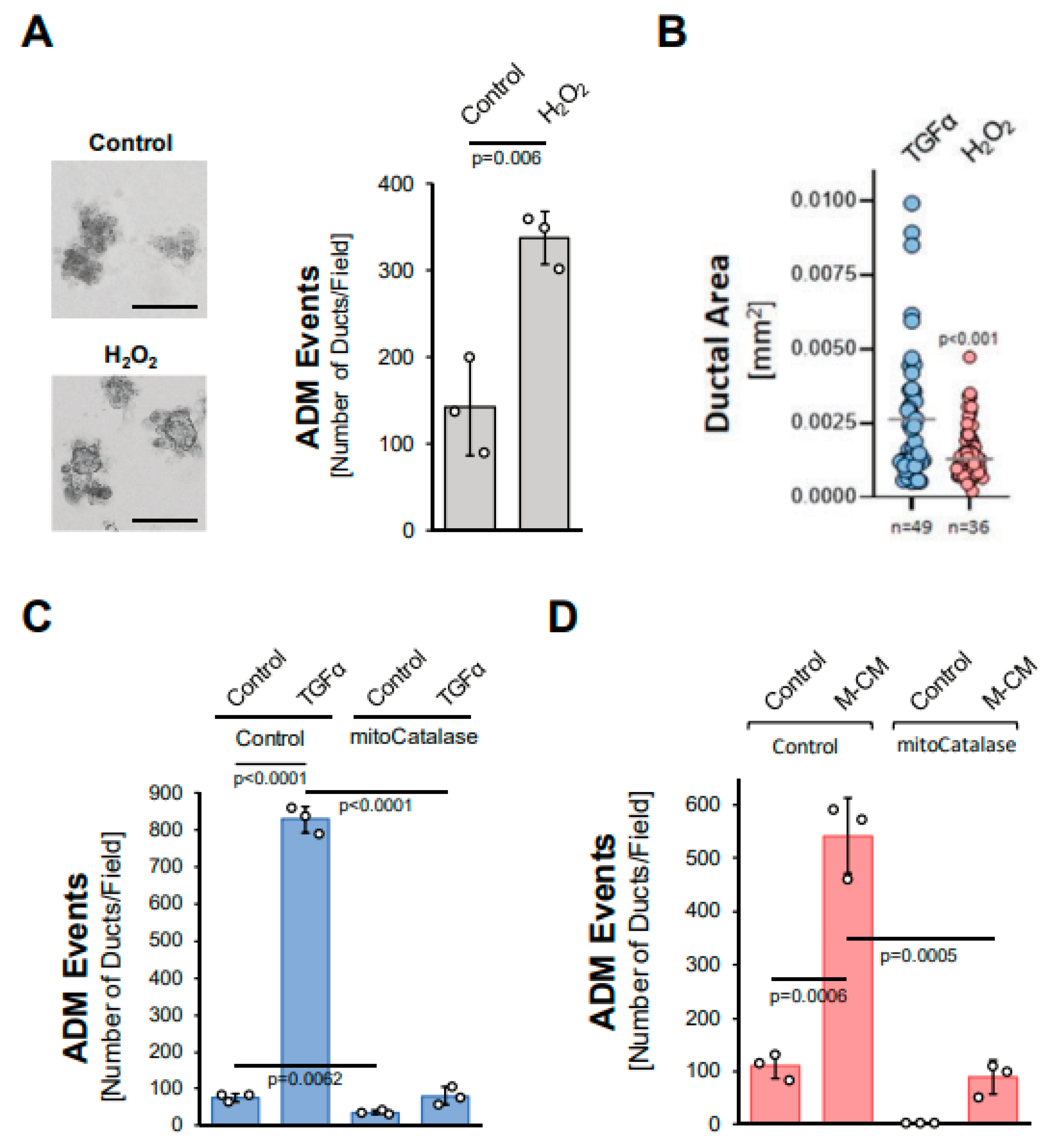 Antioxidants 11 00137 g003