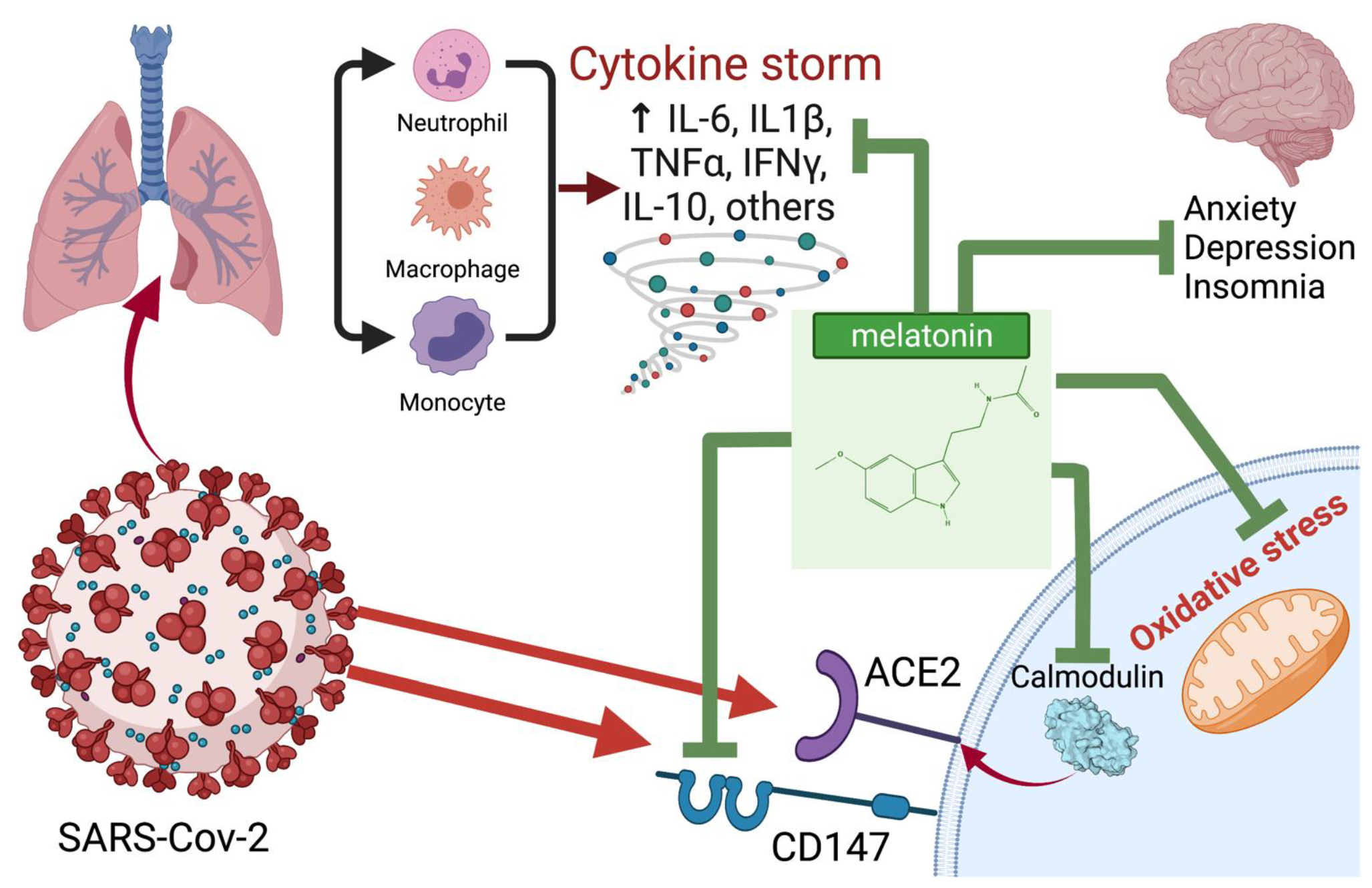 Antioxidants 11 00140 g002