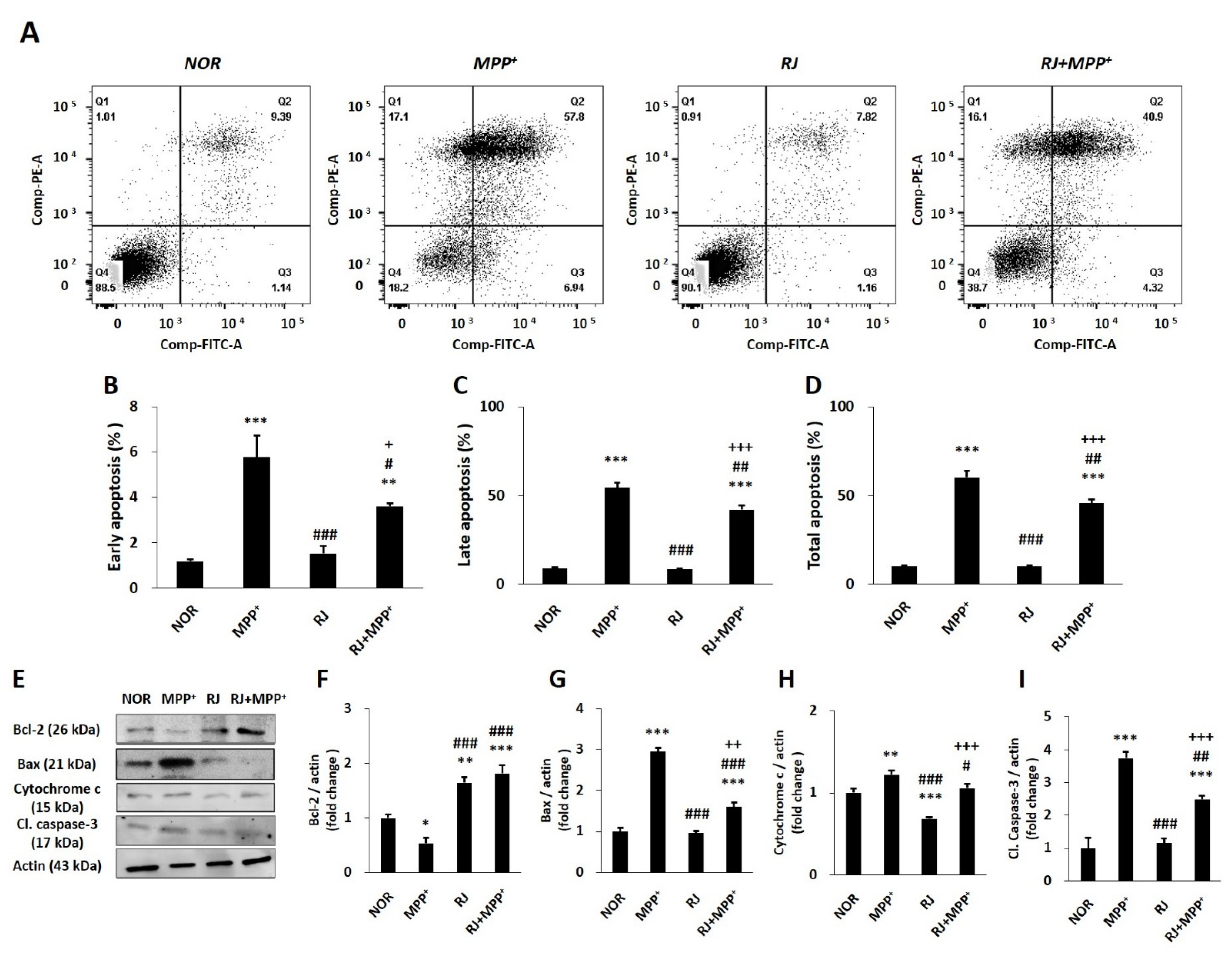 Antioxidants 11 00141 g003
