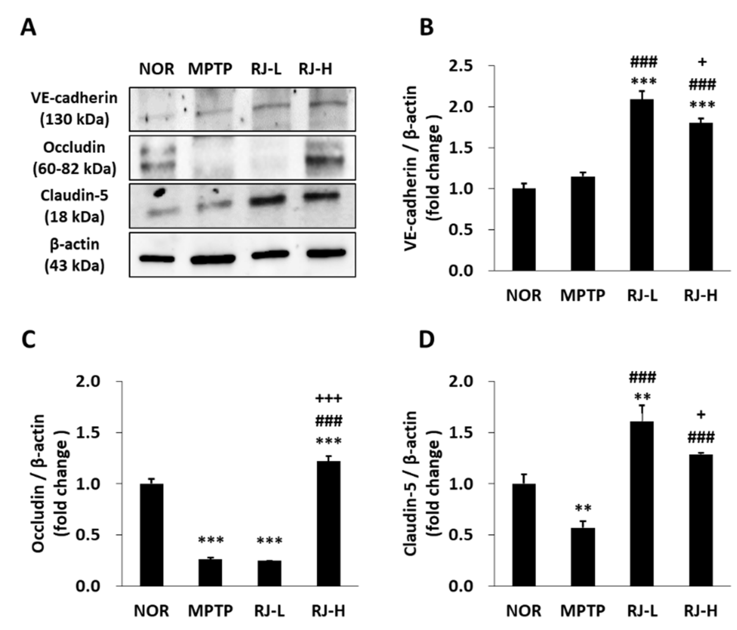 Antioxidants 11 00141 g010