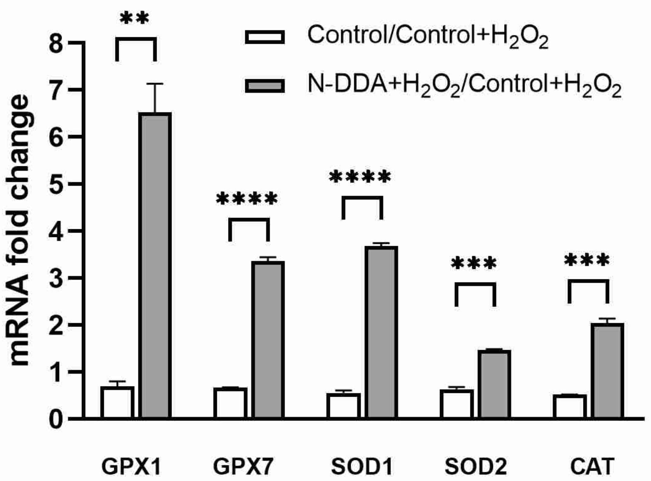 Antioxidants 11 00142 g006