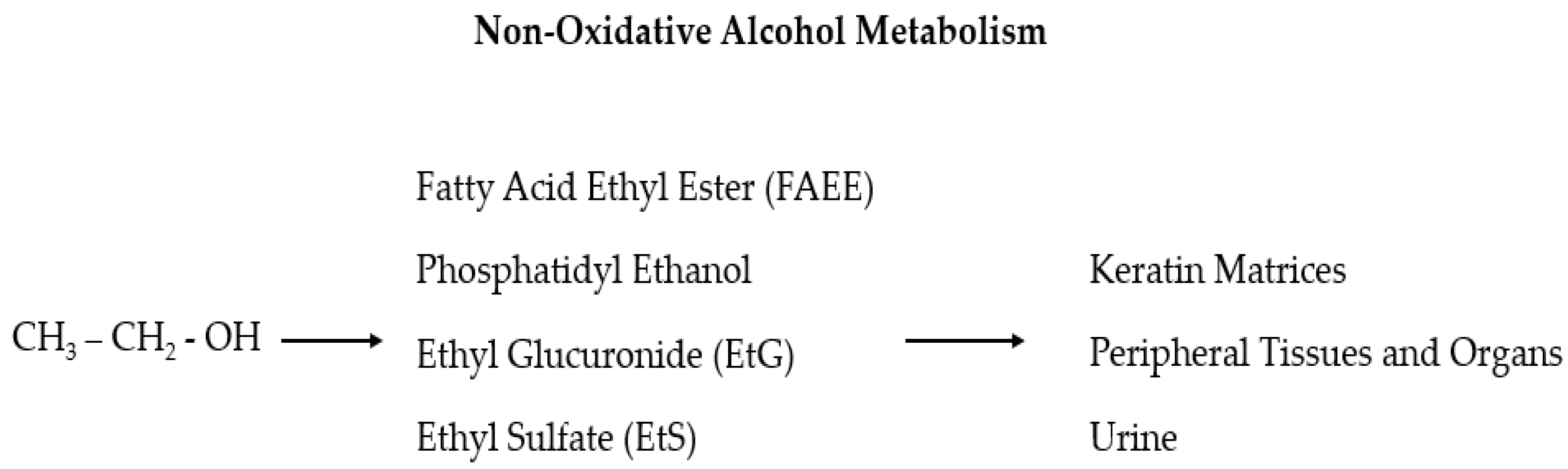 Antioxidants 11 00145 g001