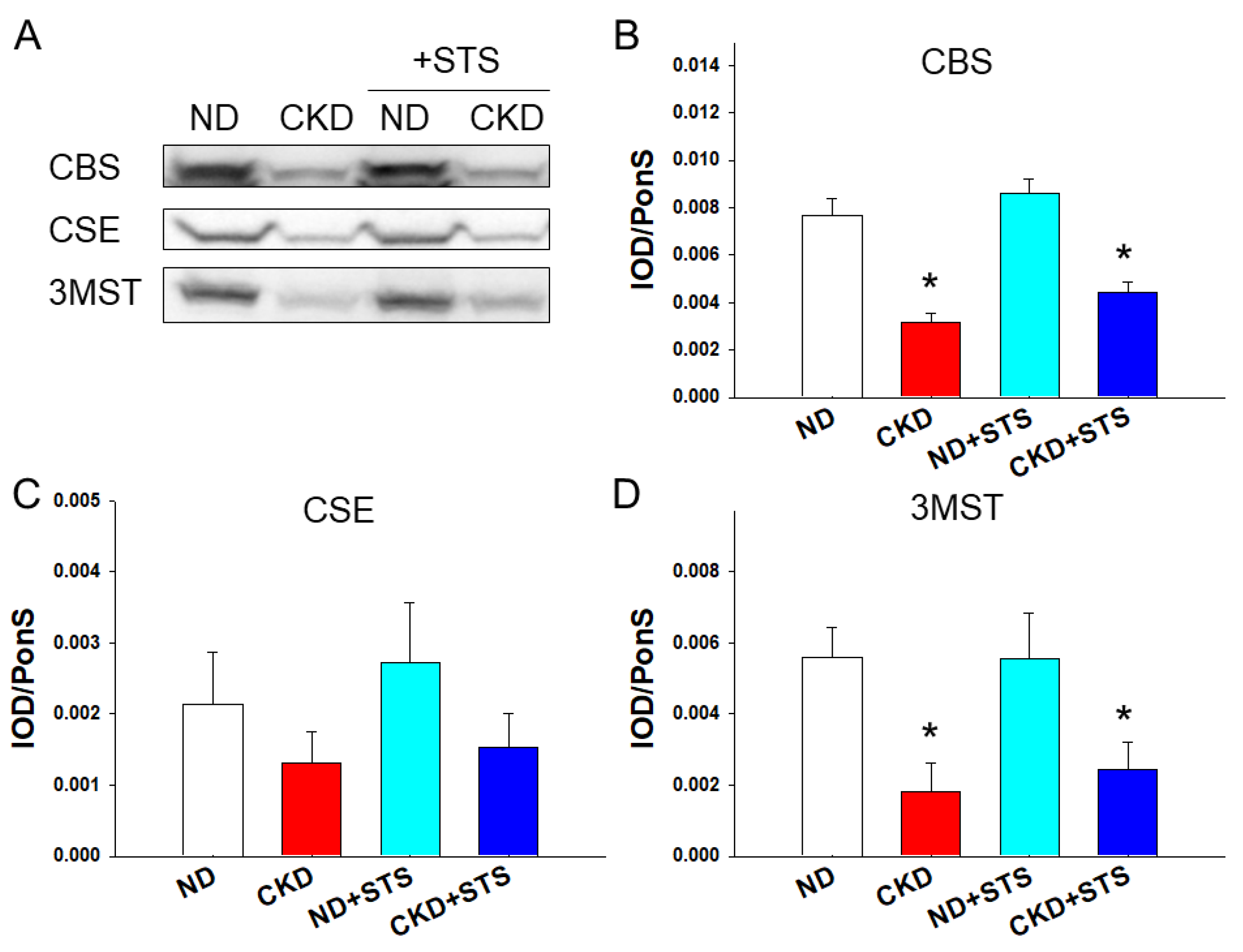 Antioxidants 11 00147 g002