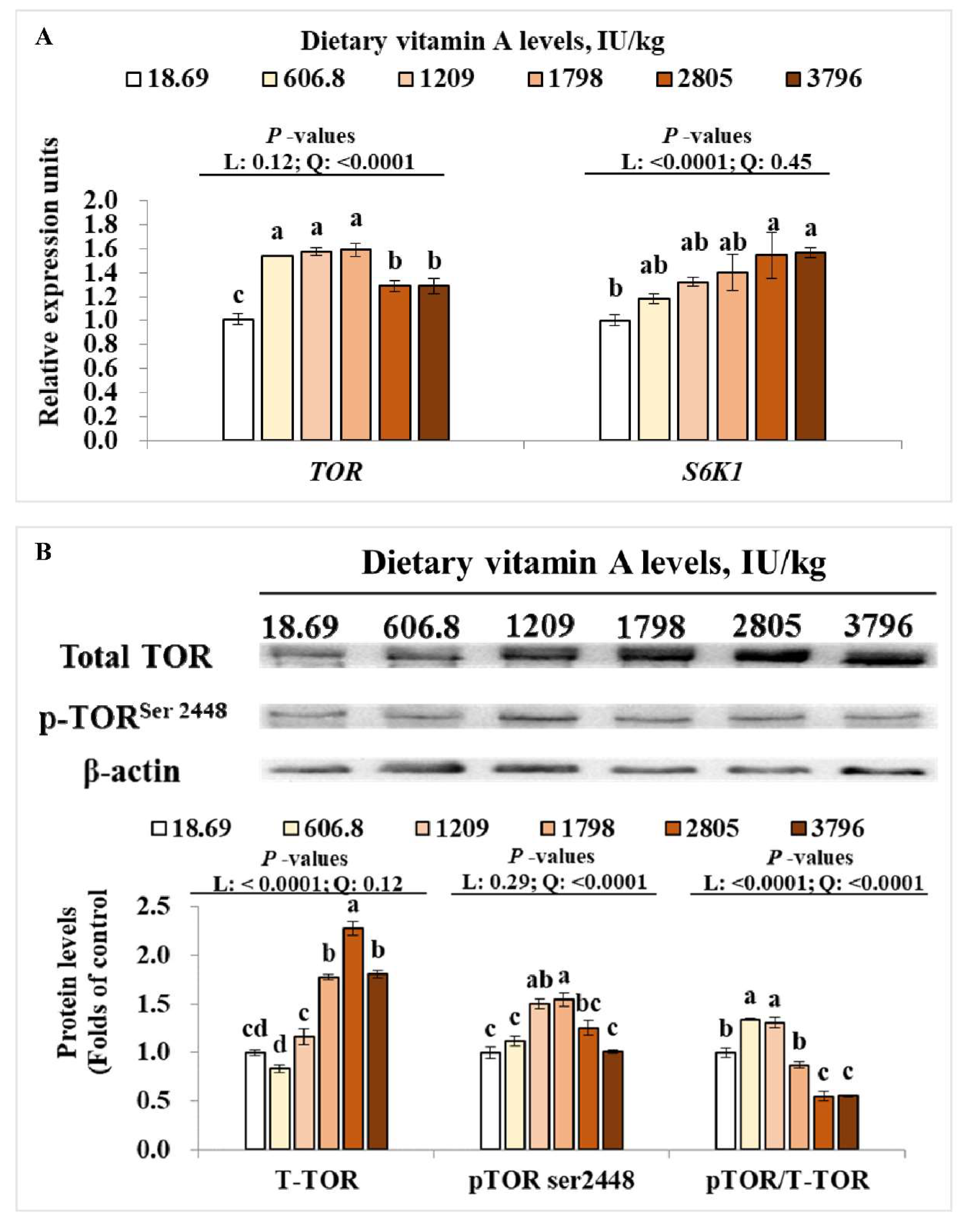 Antioxidants 11 00148 g005