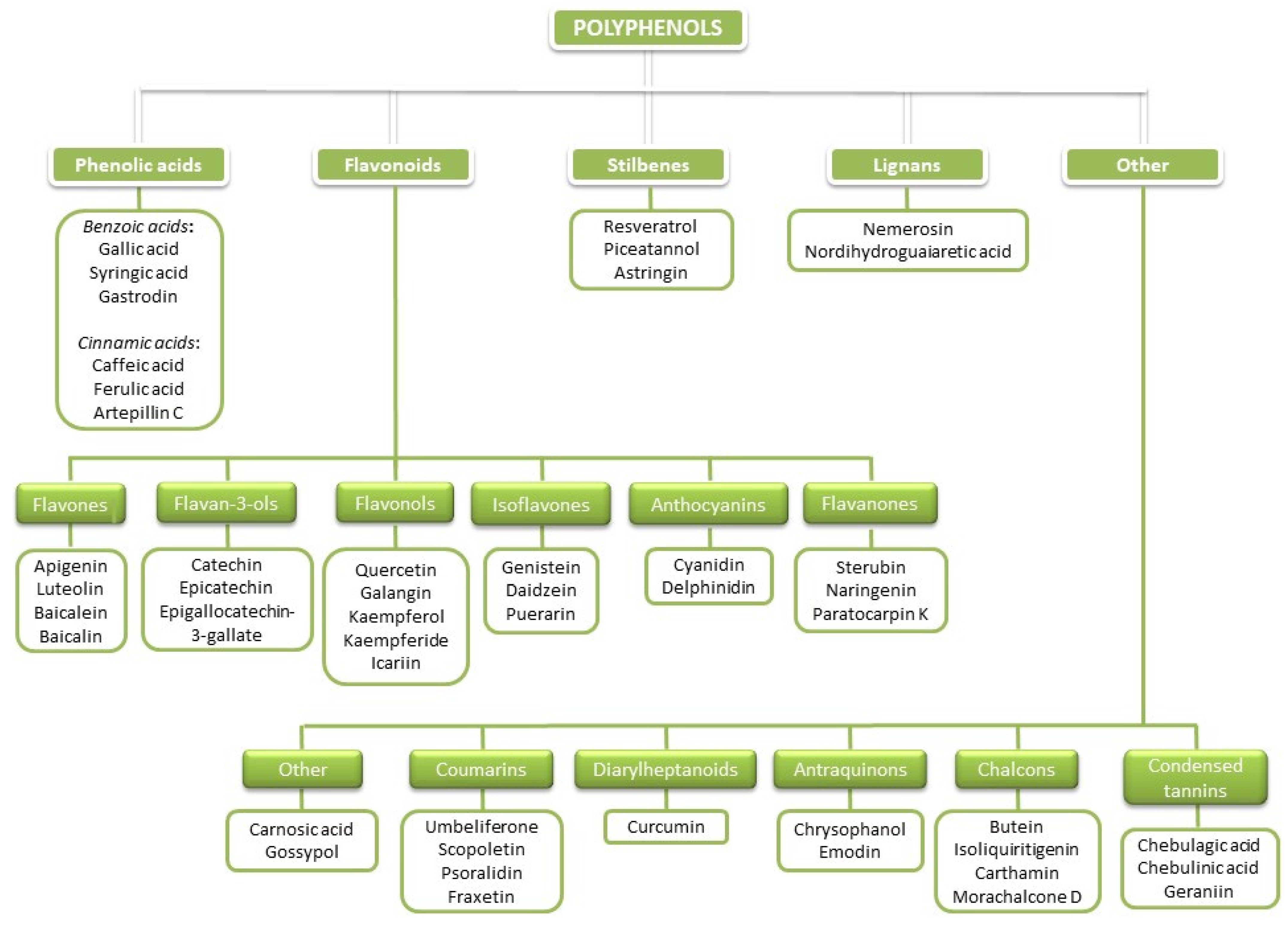 Antioxidants 11 00150 g001
