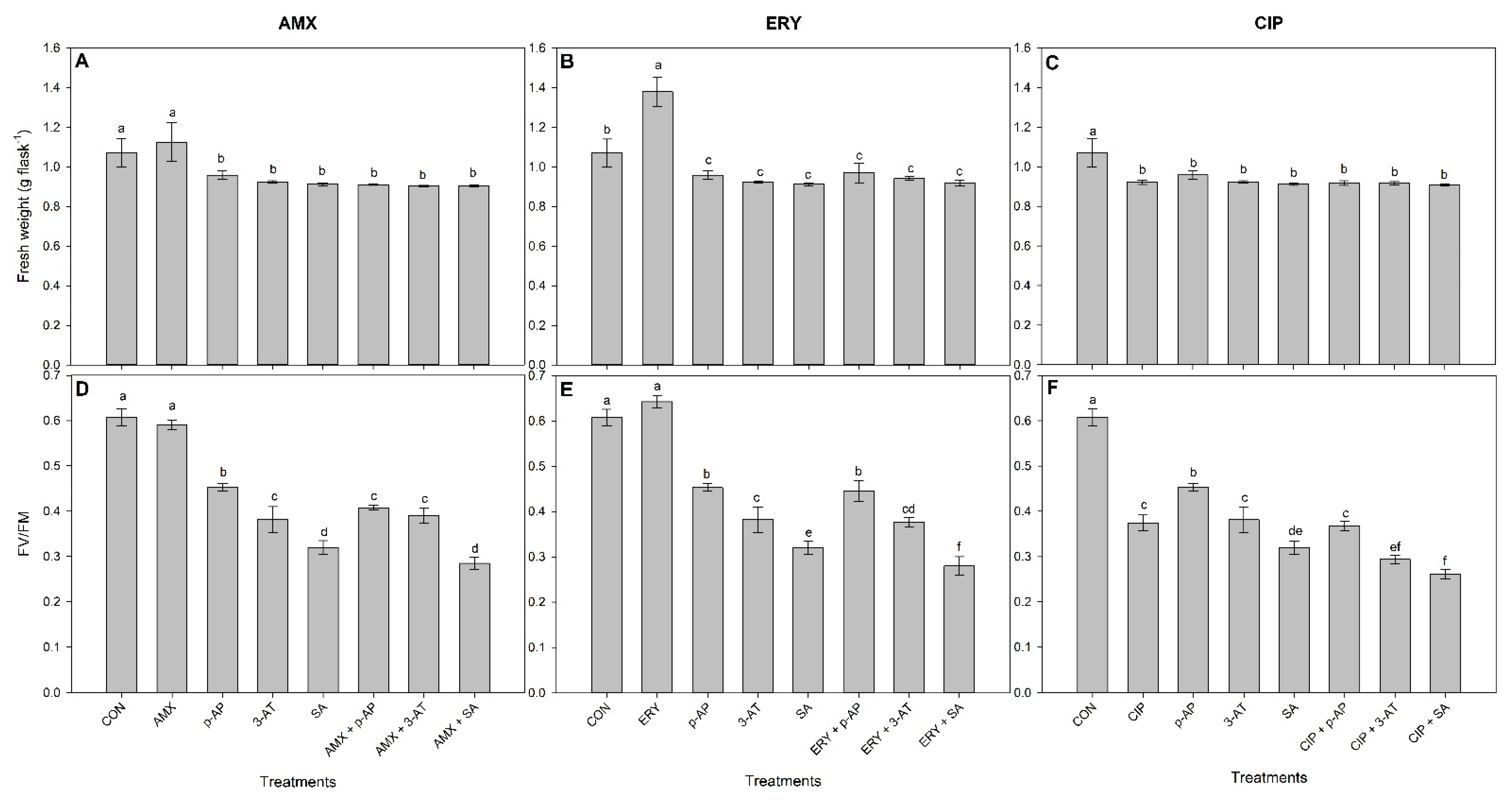 Antioxidants 11 00151 g002