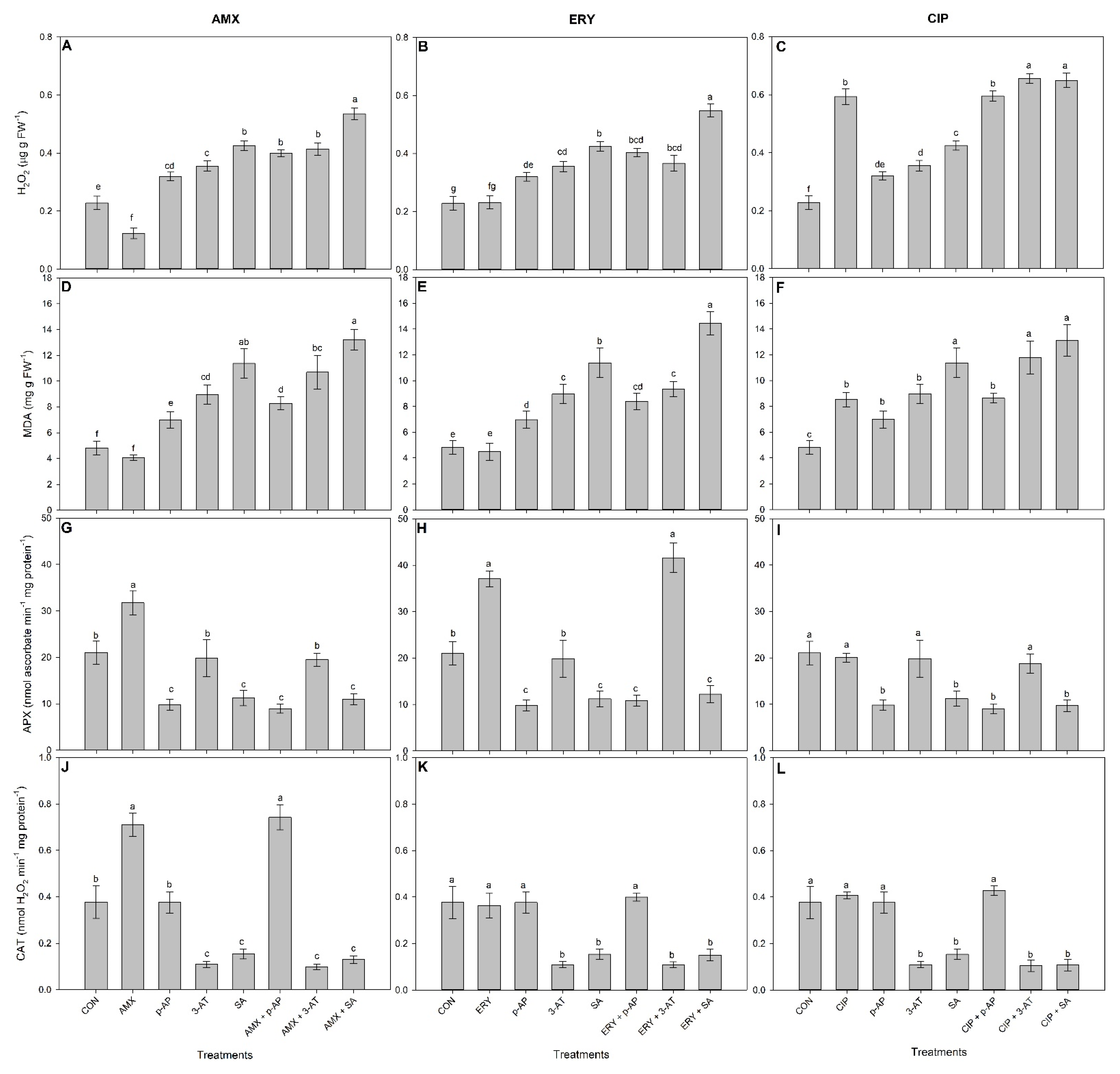 Antioxidants 11 00151 g003