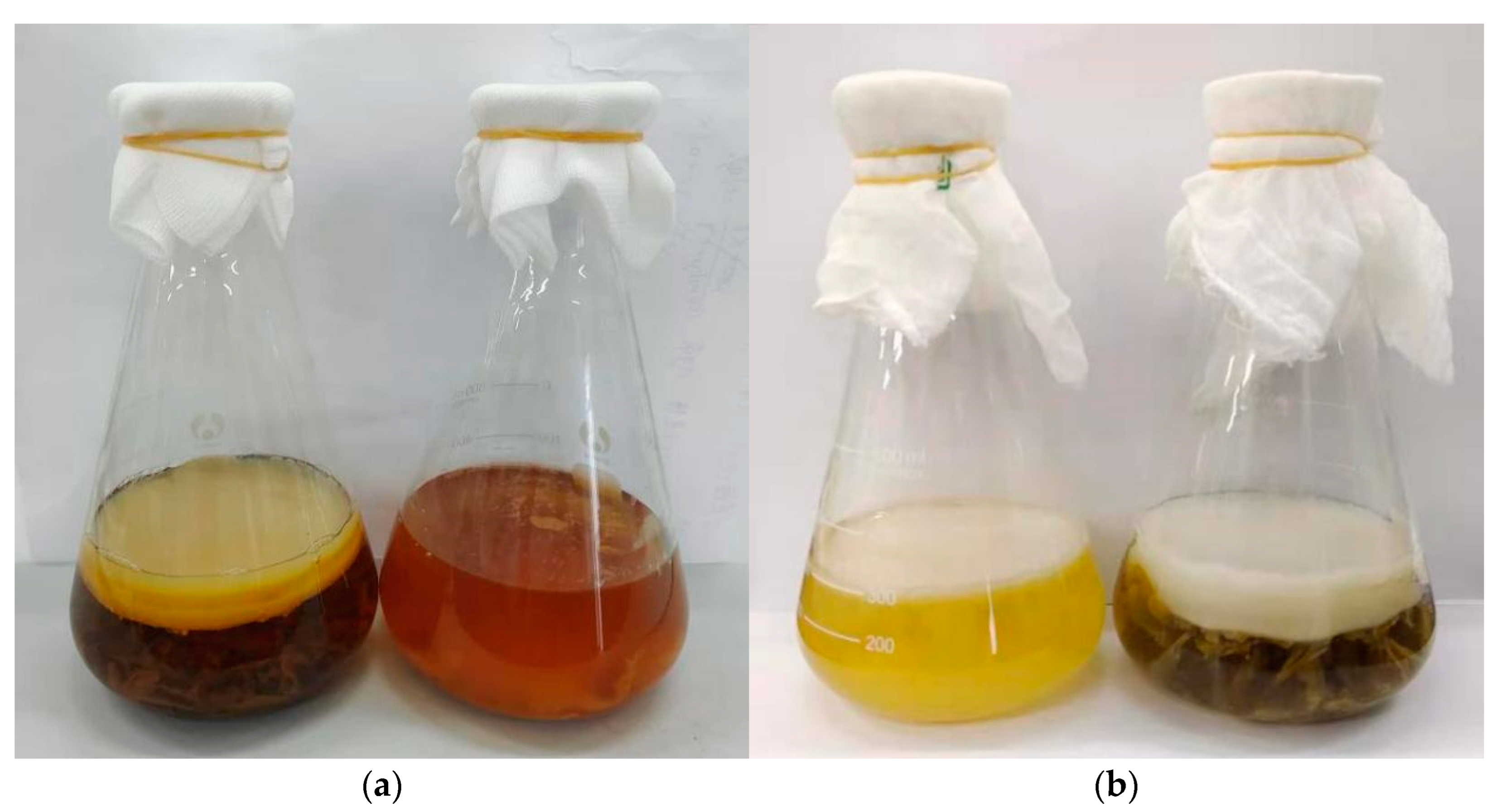 Antioxidants 11 00155 g001