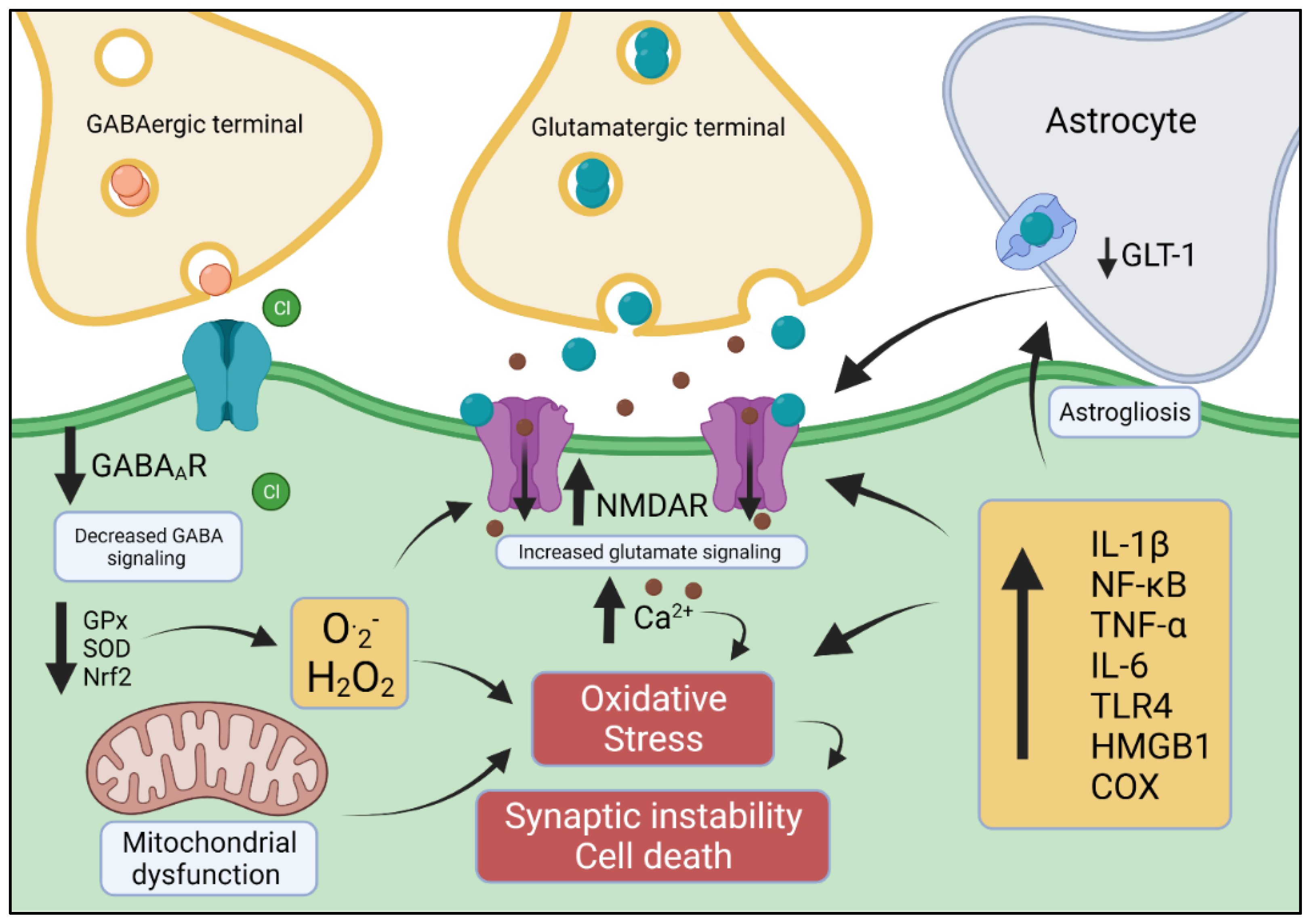 Antioxidants 11 00157 g001 Antioxidants 11 00157 g001